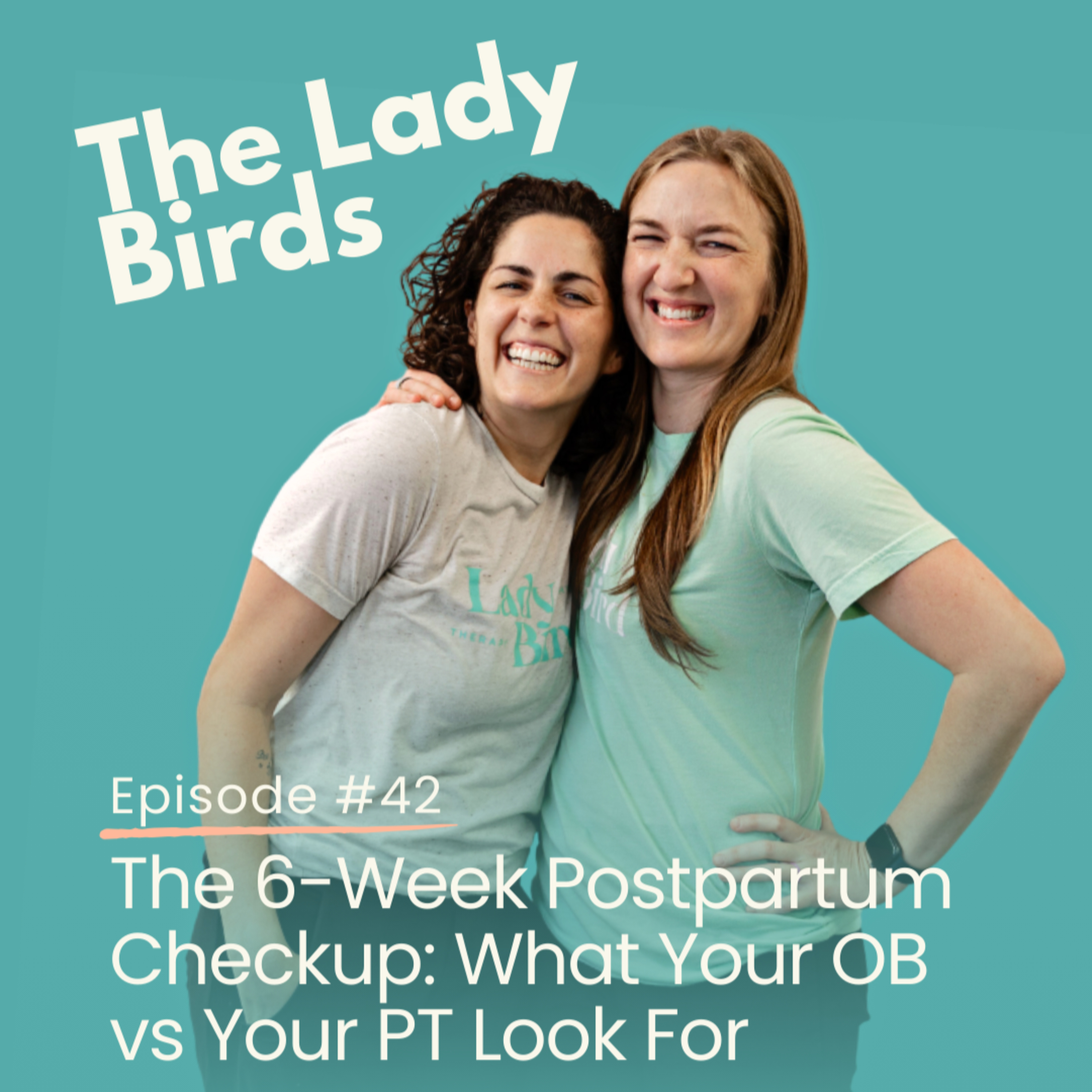 Episode 42: The 6-Week Postpartum Checkup: What Your OB vs Your PT Look For episode artwork