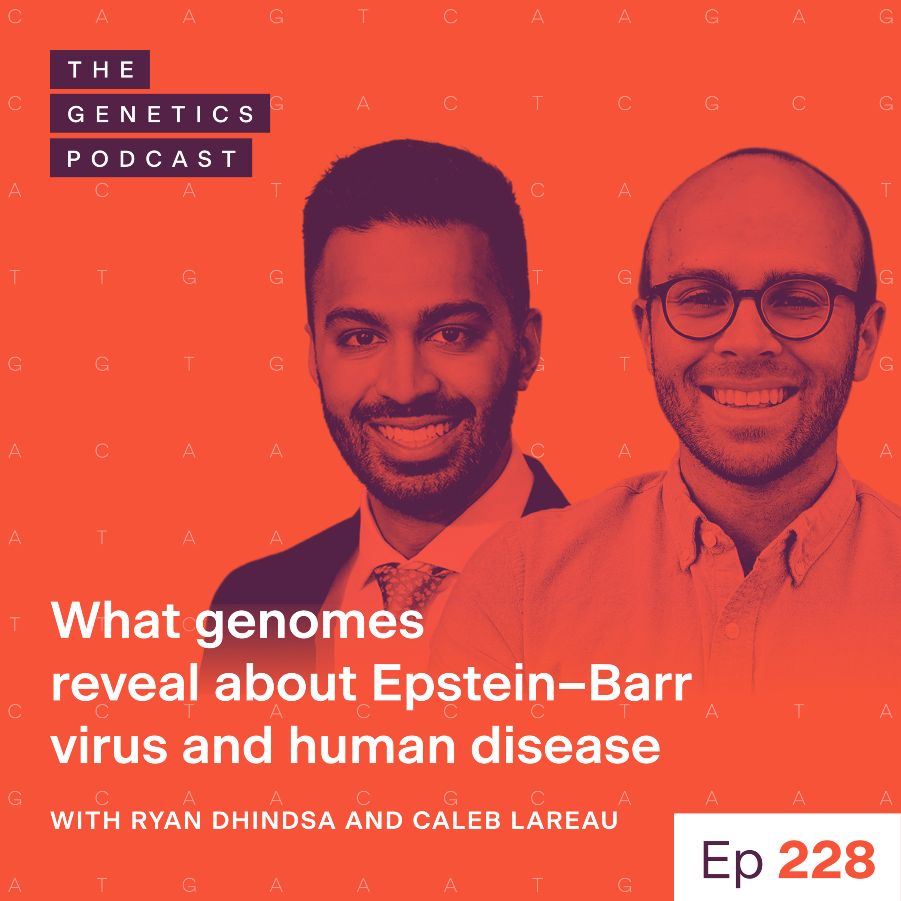EP 228: What genomes reveal about Epstein–Barr virus and human disease with Ryan Dhindsa and Caleb Lareau