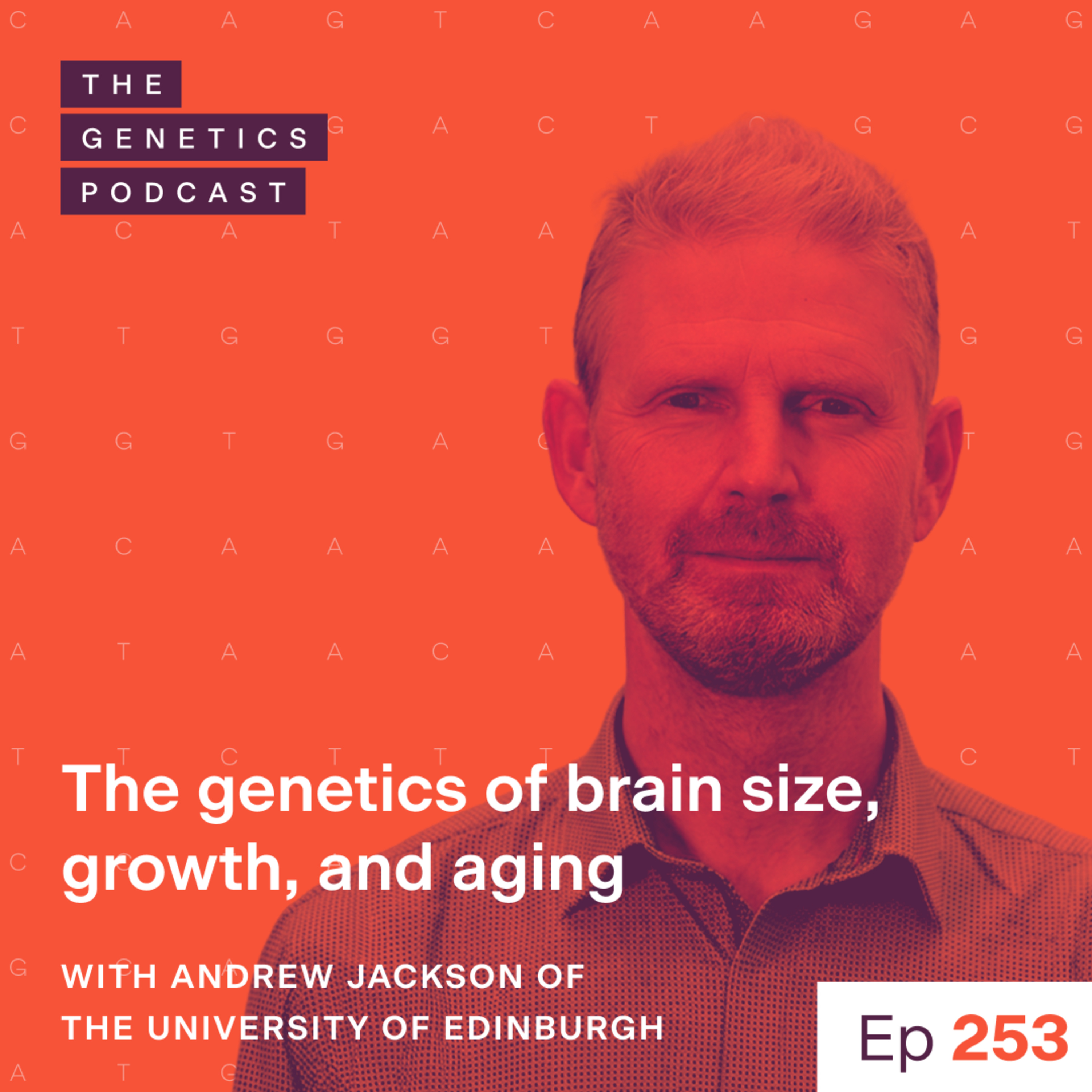 EP 253: The genetics of brain size, growth, and aging with Andrew Jackson of the University of Edinburgh