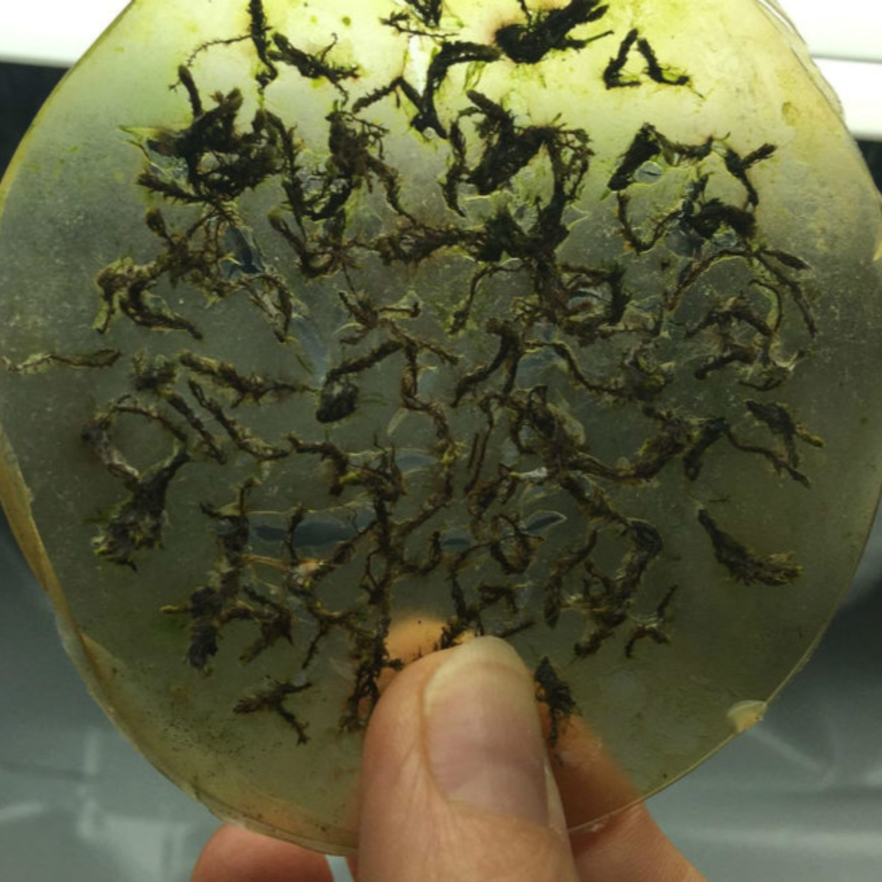 The War Lab: Exploring the Future of Conflict