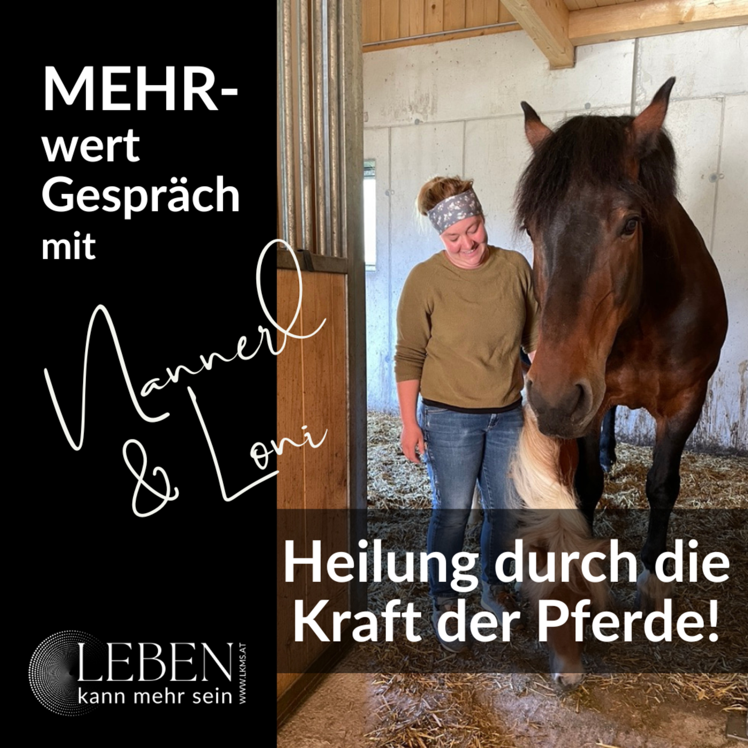 Pferde und ihre Wirkung auf uns Menschen