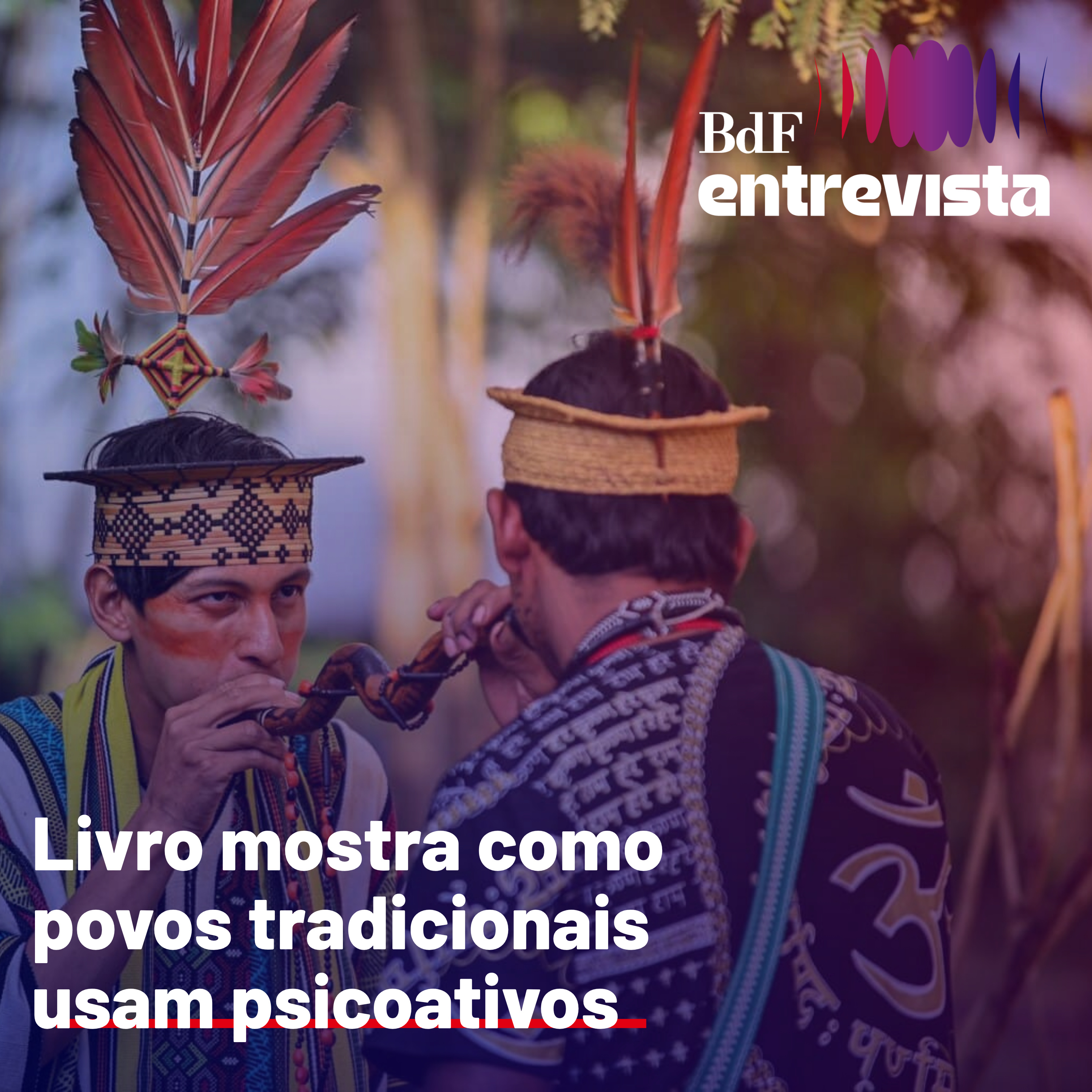 #513 - Livro mostra como povos tradicionais usam psicoativos | BdF Entrevista Eliana Rodrigues episode artwork