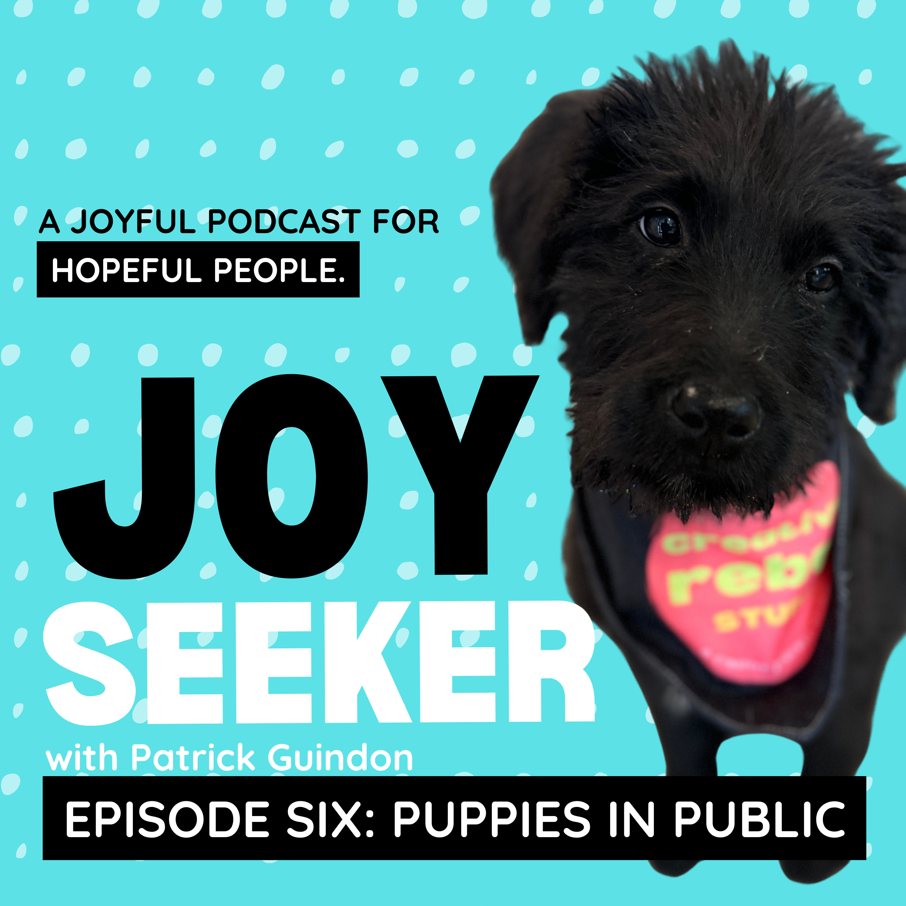 The Joy Of ... Puppies in Public episode artwork