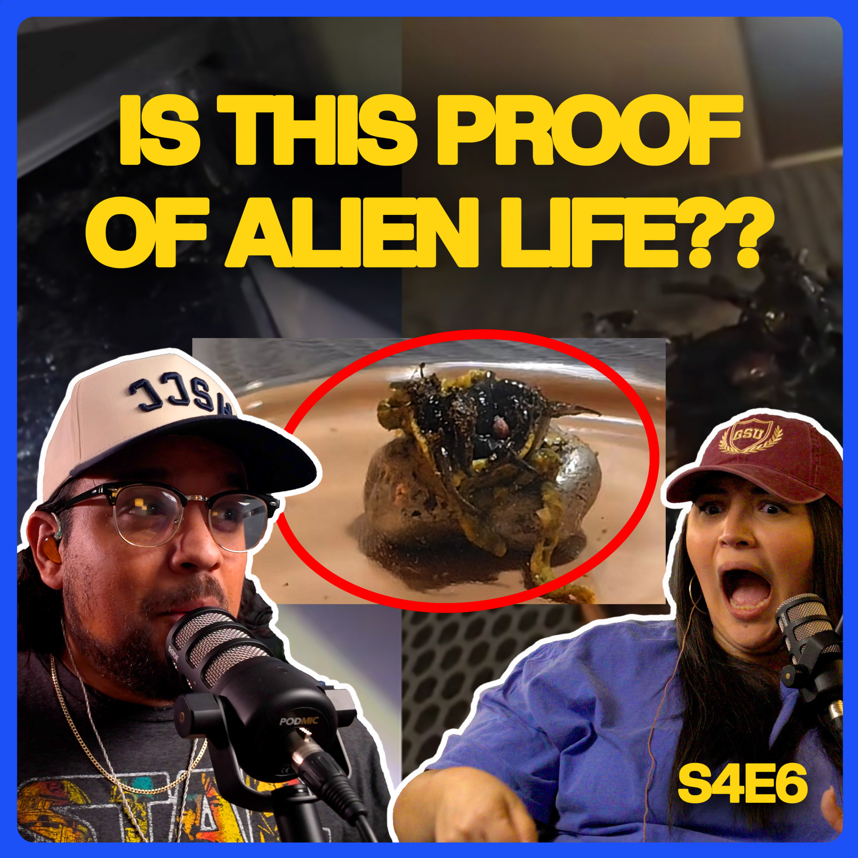 Is the Panama Alien Actually Real?