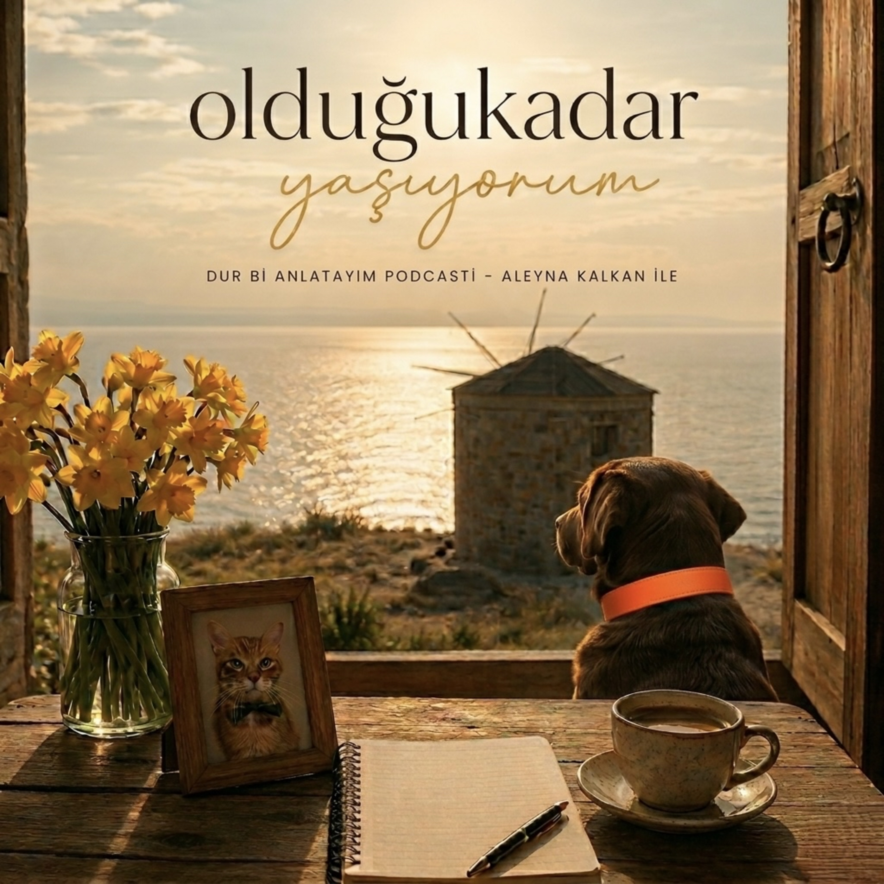 Olduğu Kadar Yaşıyorum #1 | Kabullenmek mi ? Vazgeçmek mi? | Ya umudum biterse ? episode artwork