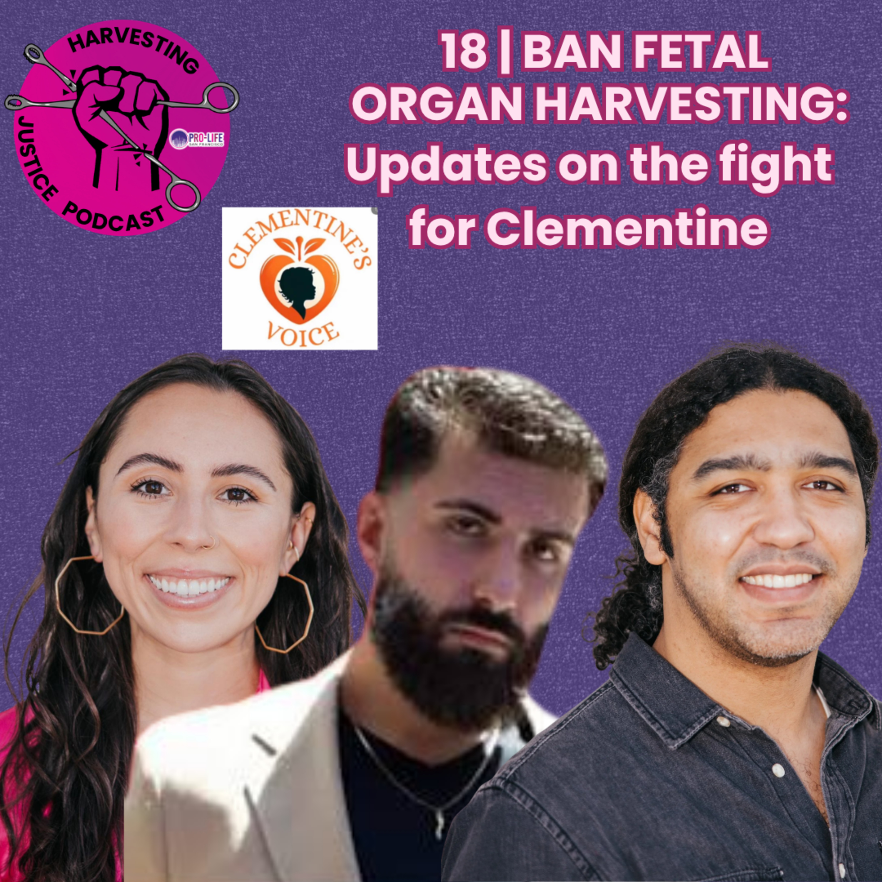18 | BAN FETAL ORGAN HARVESTING: Updates on the Fight for Clementine