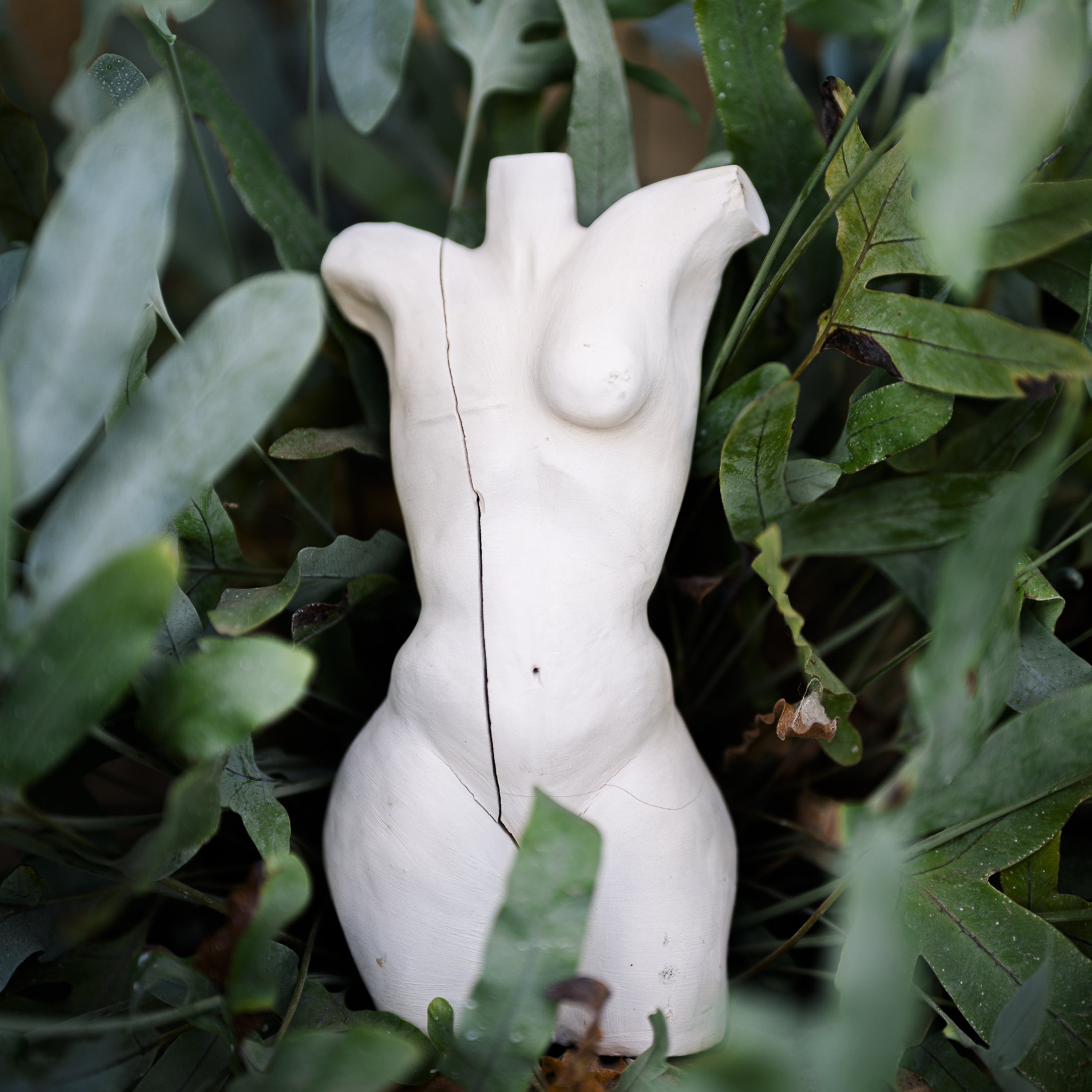 Frieda Bruhn • Perspektiven und Impulse