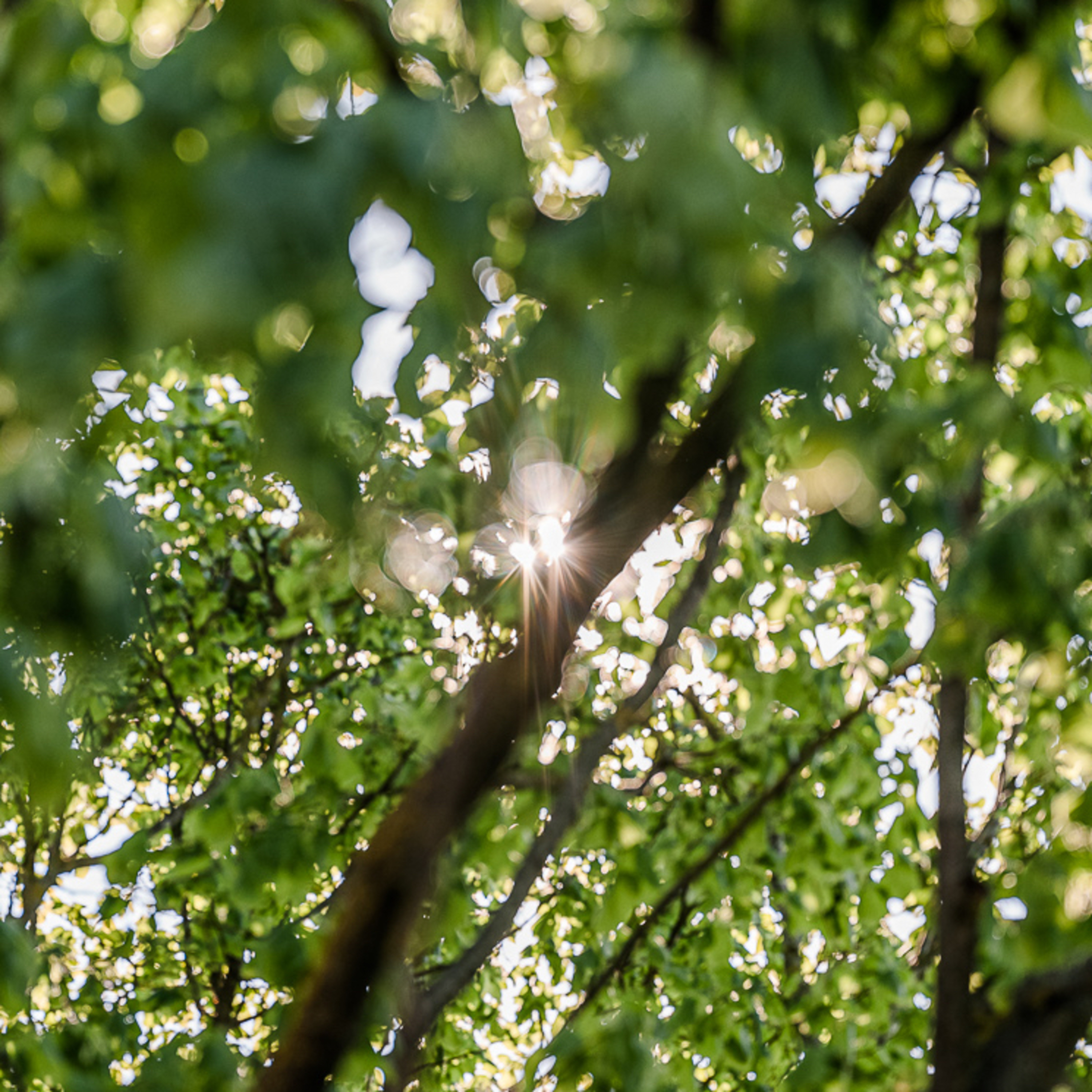 Frieda Bruhn • Perspektiven und Impulse