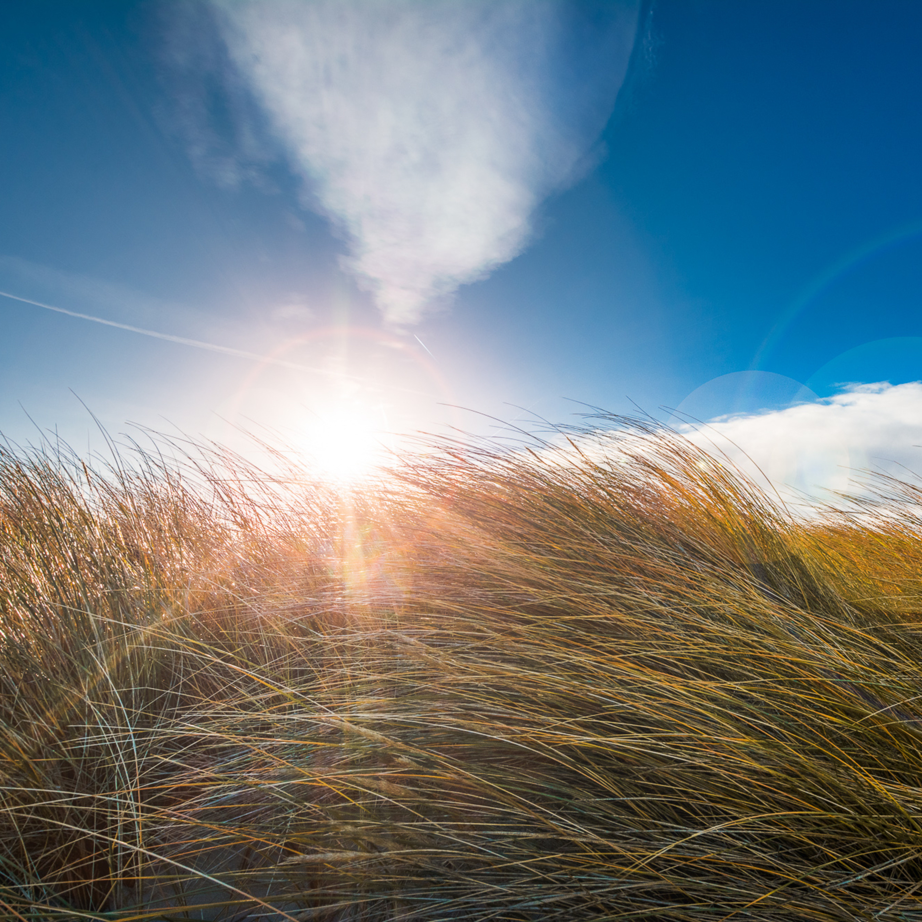 Frieda Bruhn • Perspektiven und Impulse