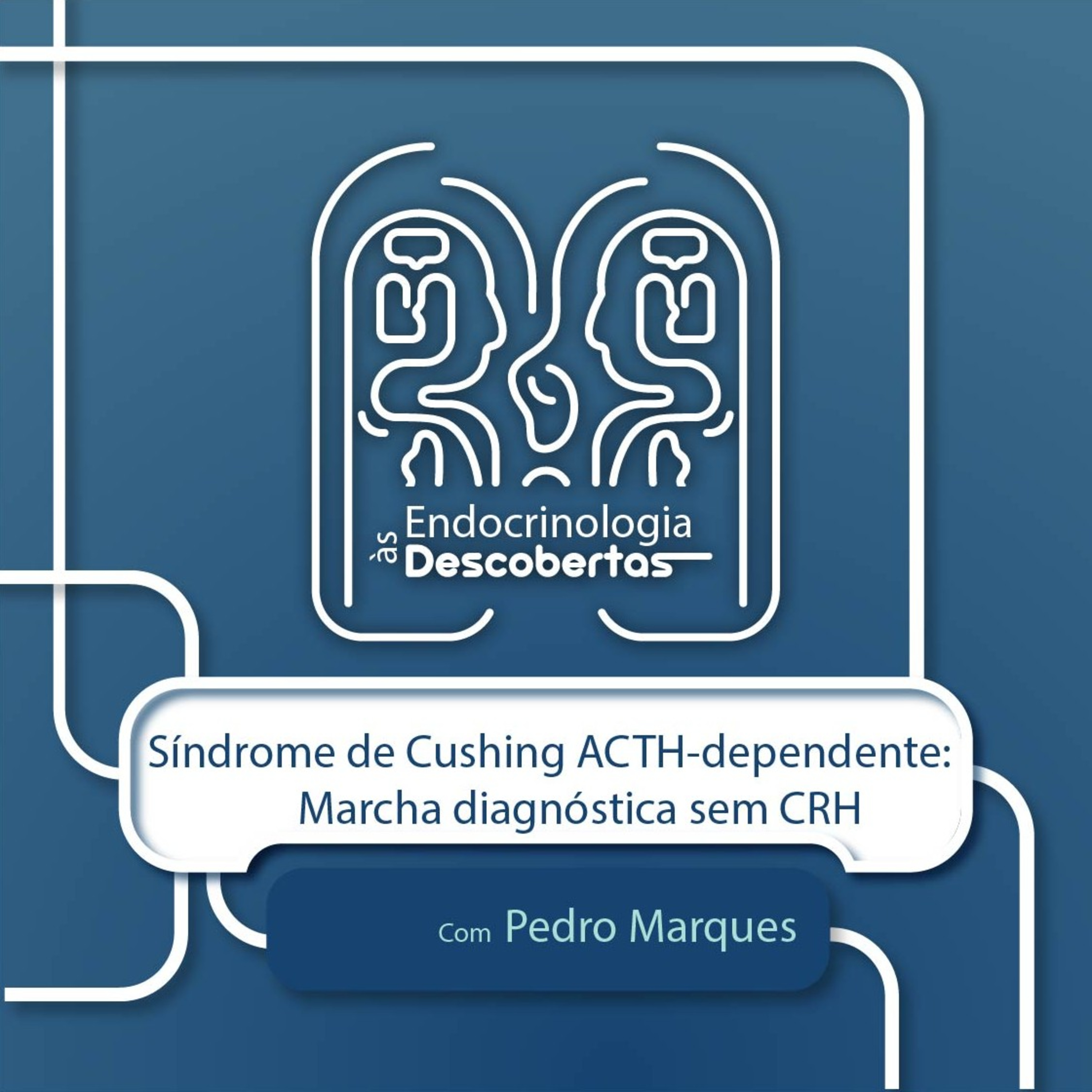 Endocrinologia às Descobertas