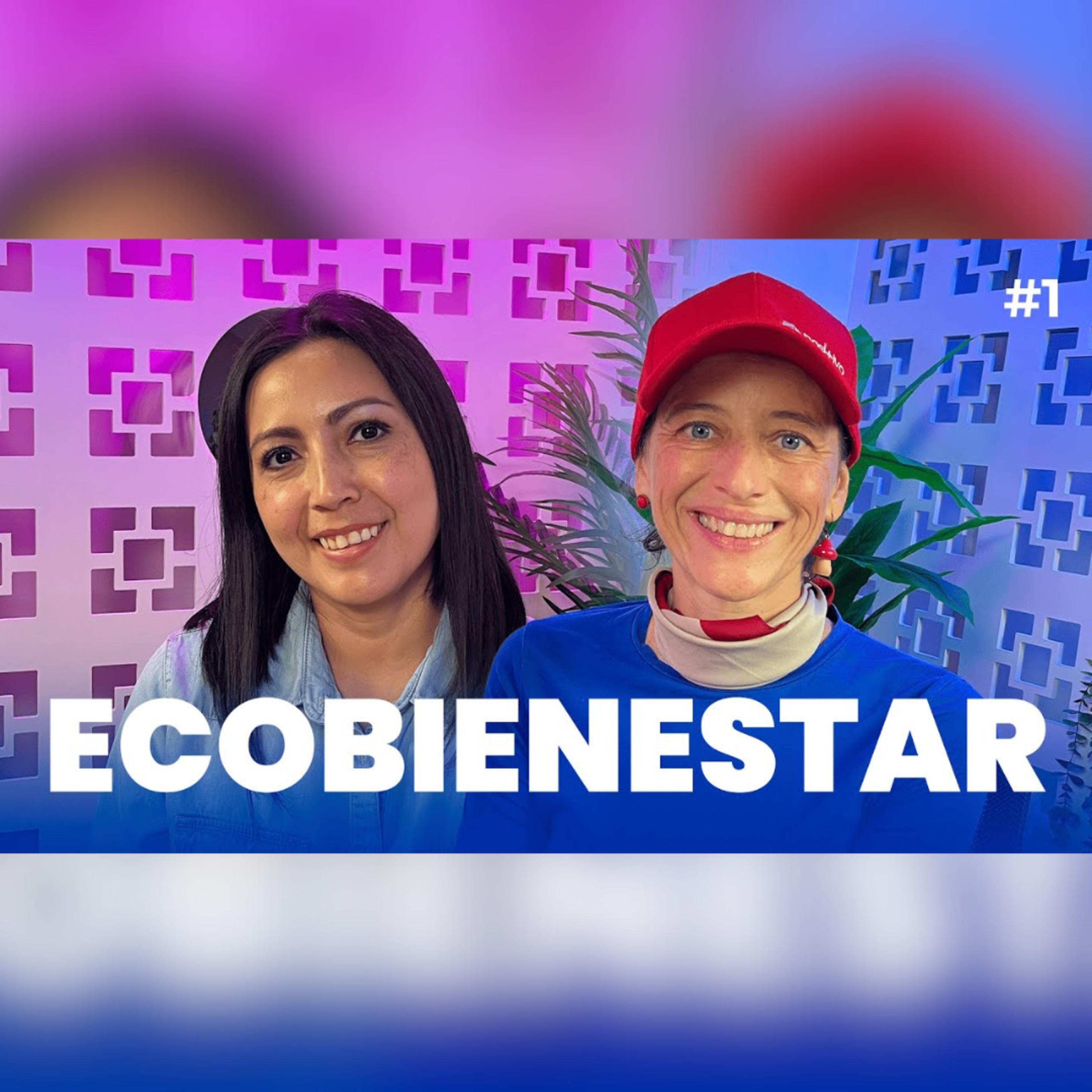 Sincronexión