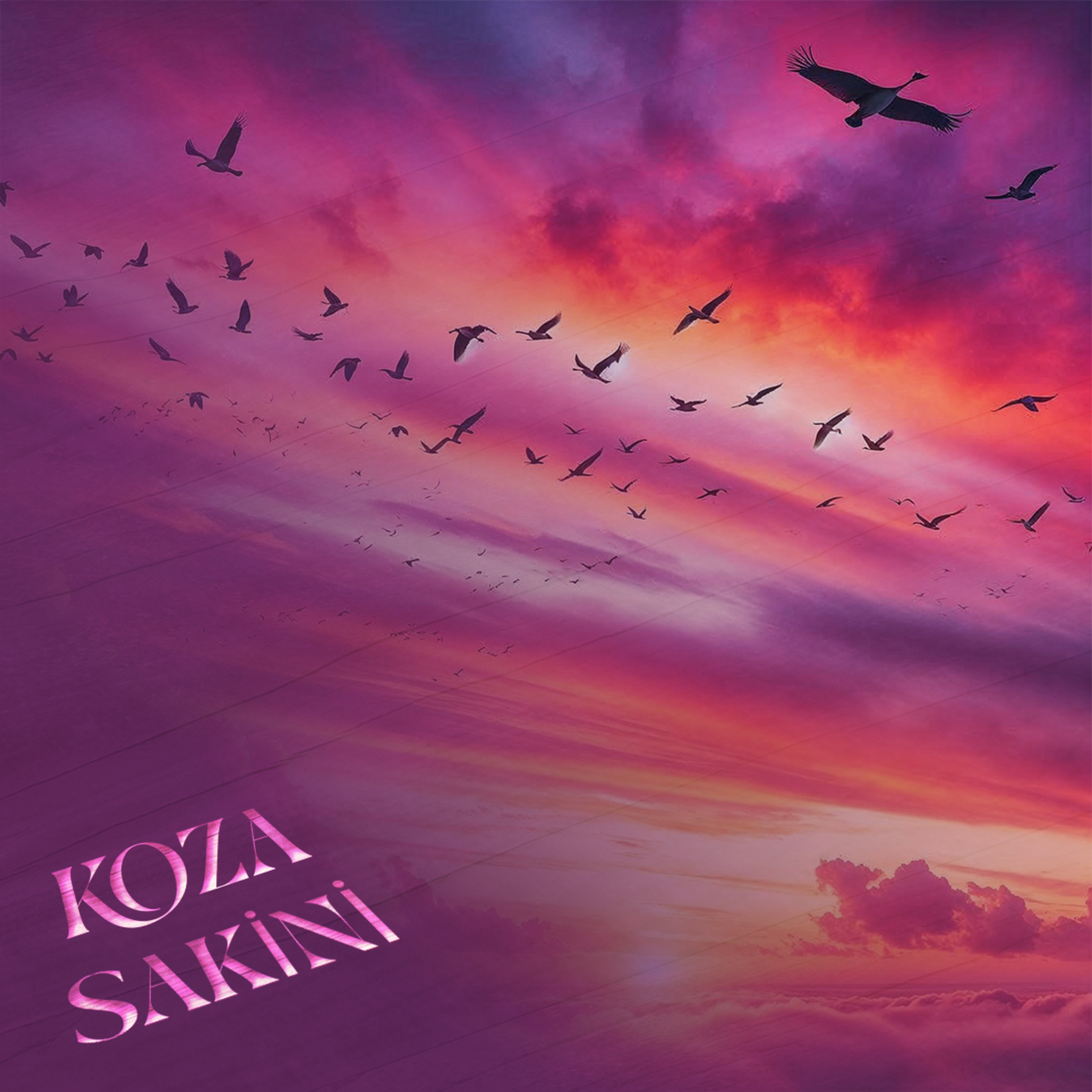 Kuşlar ve Doktorlar episode artwork