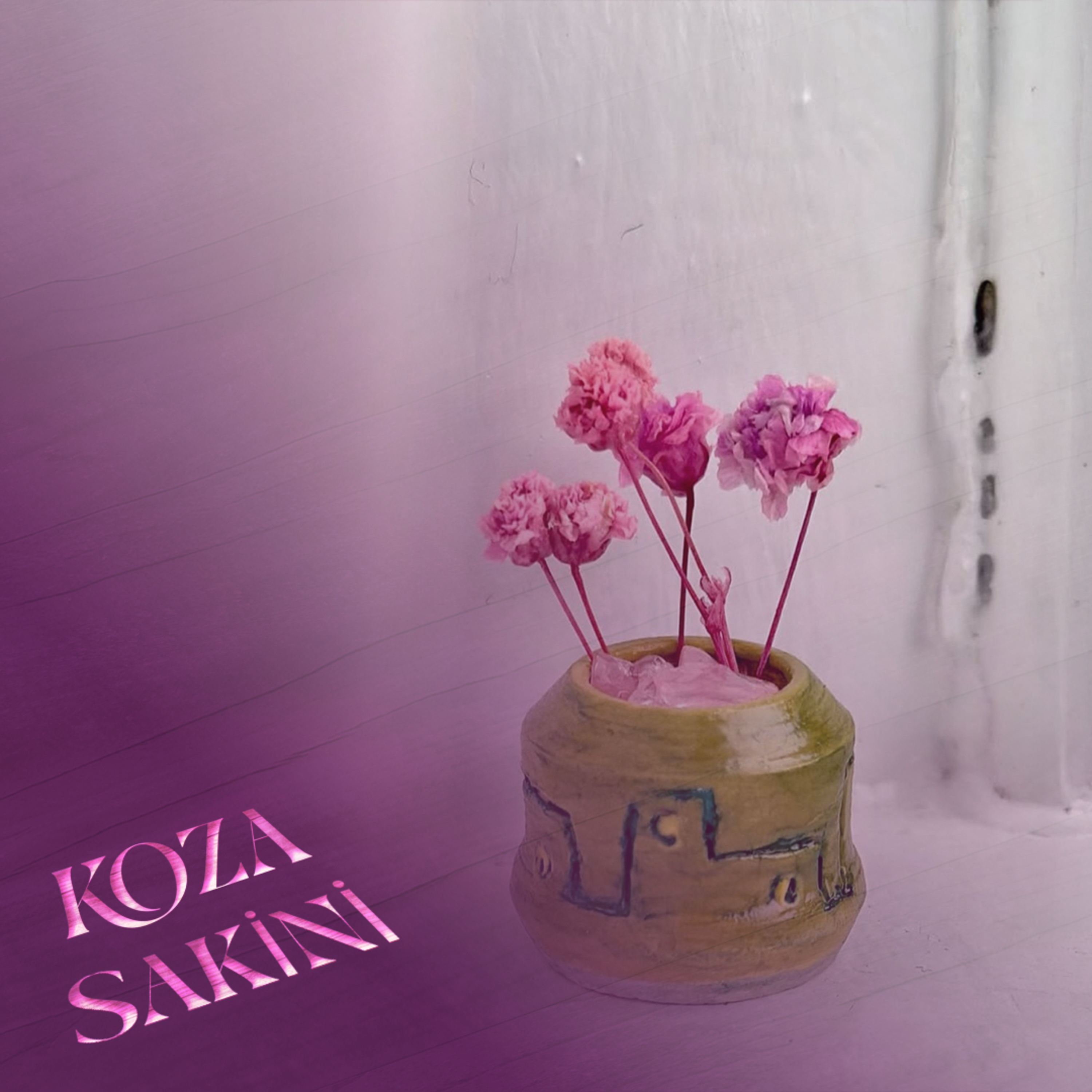 14 Yılda Pişen Vazo episode artwork