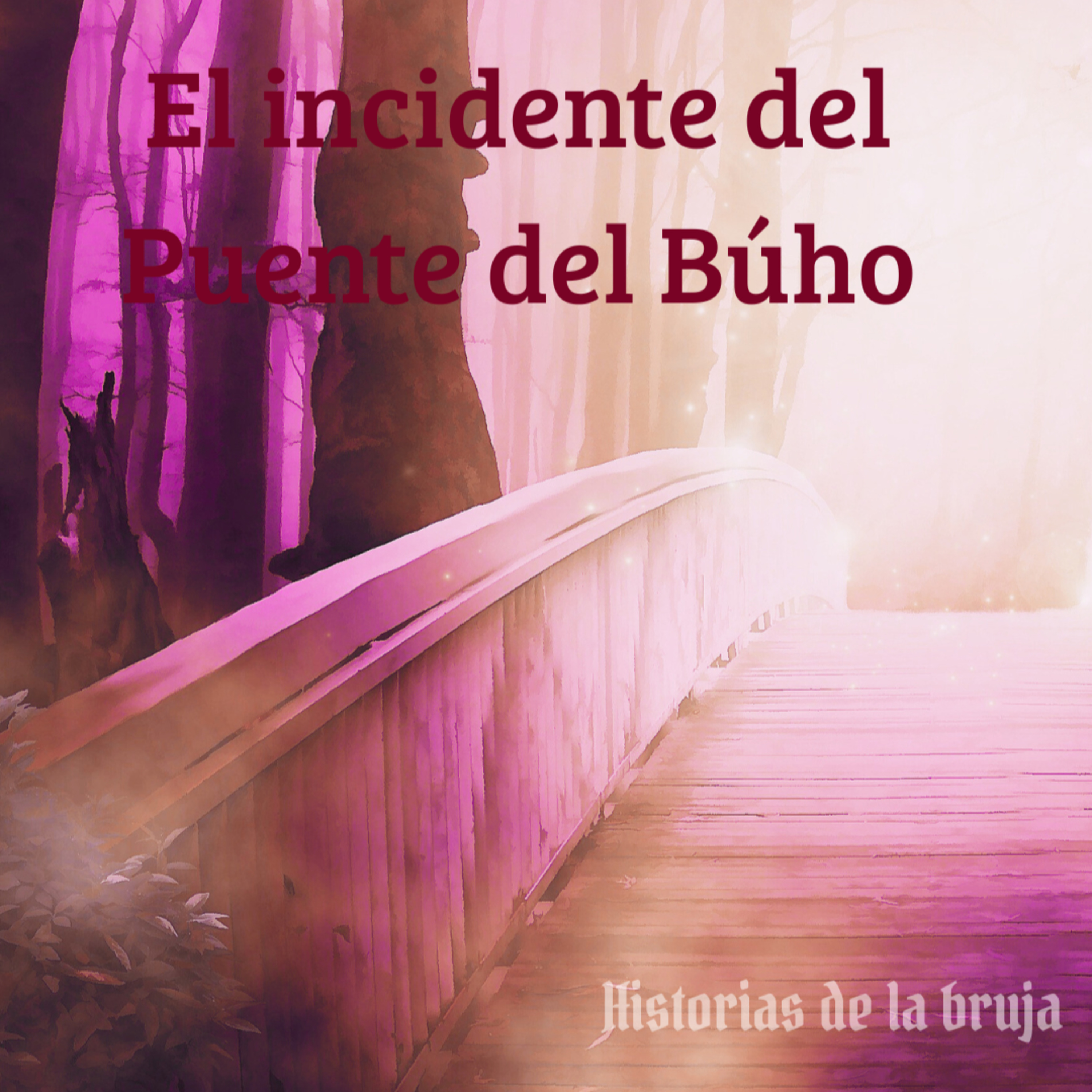 Portada de Historias de la Bruja