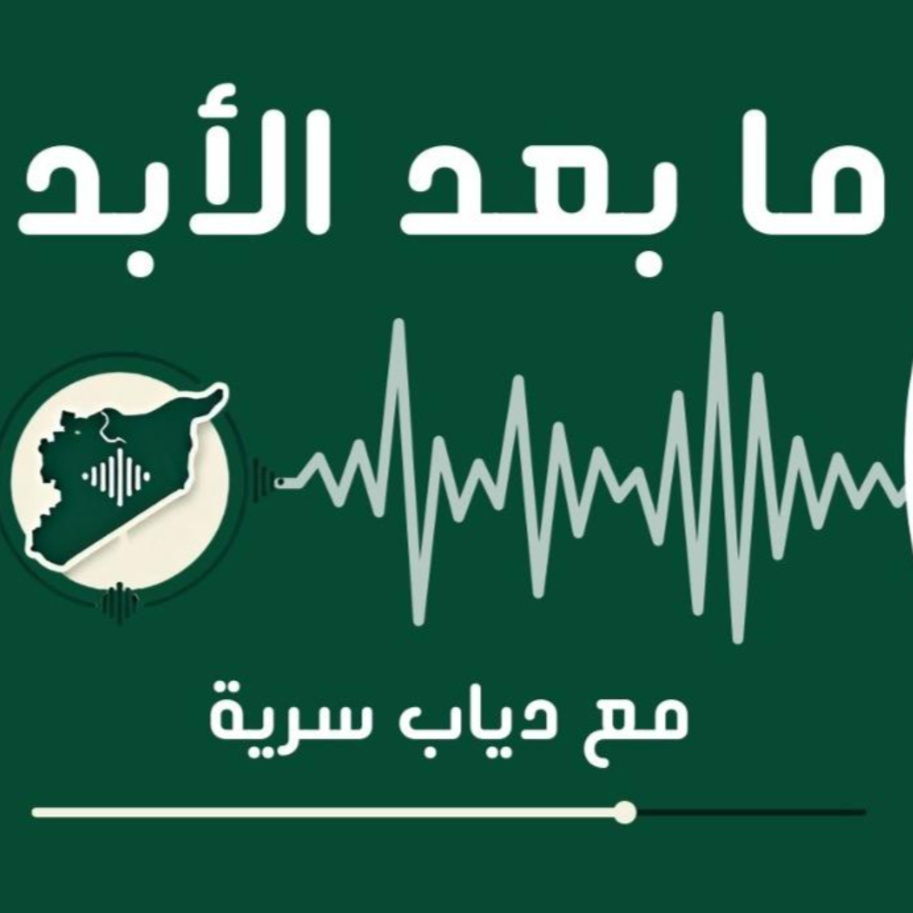 القبور الجماعية في سوريا وسجن صيدنايا وفروع الاعتقال الأخرى episode artwork