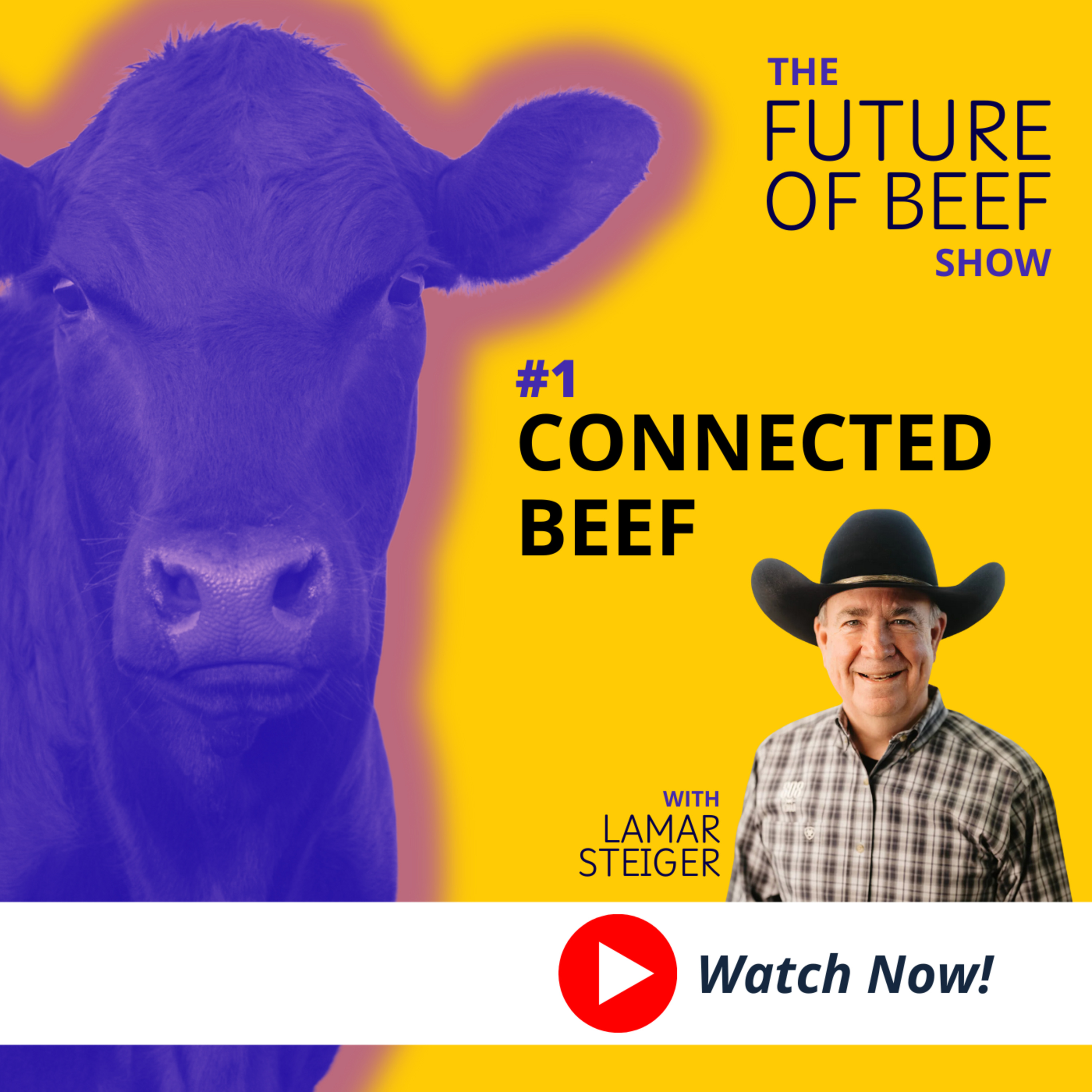 The Future of Beef
