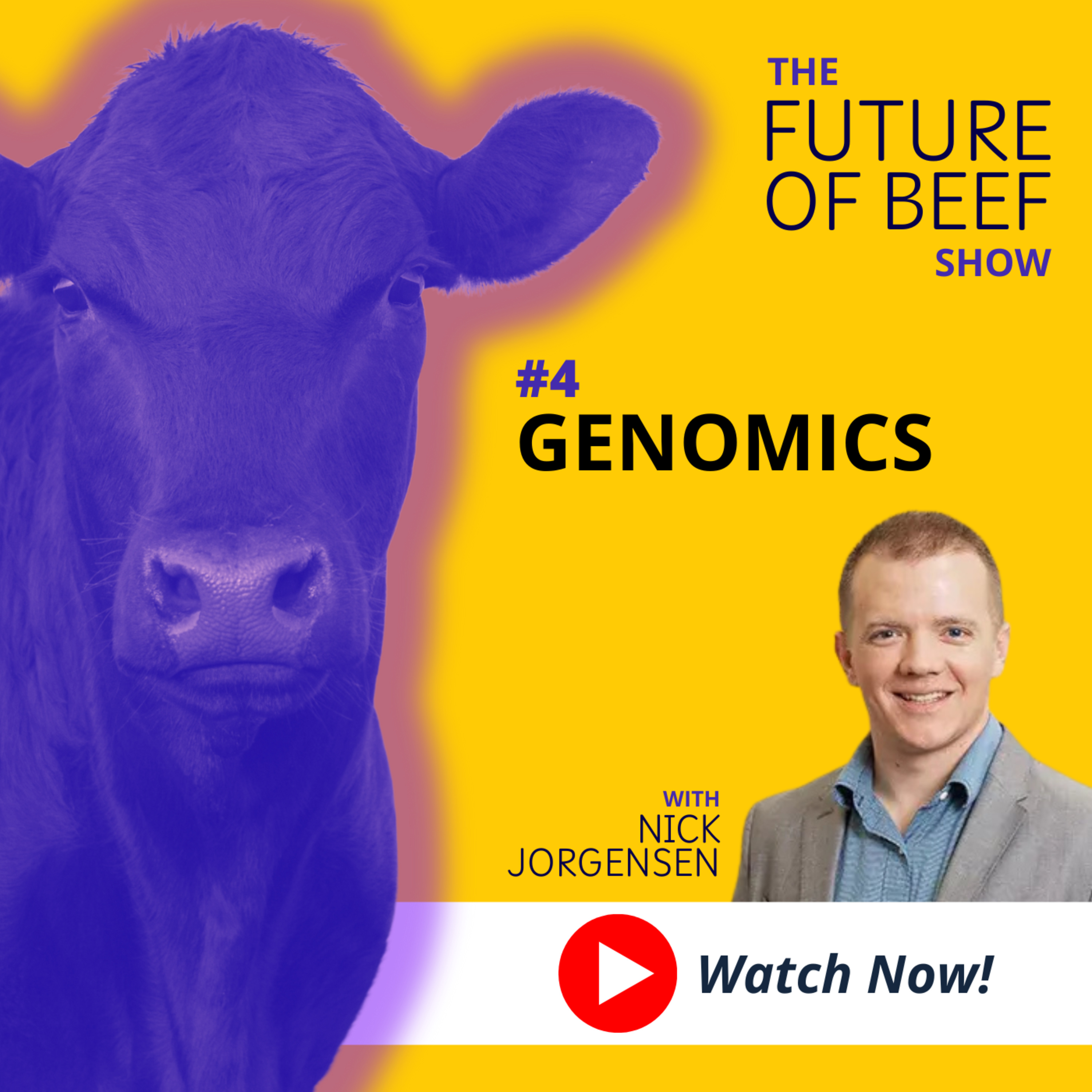 The Future of Beef