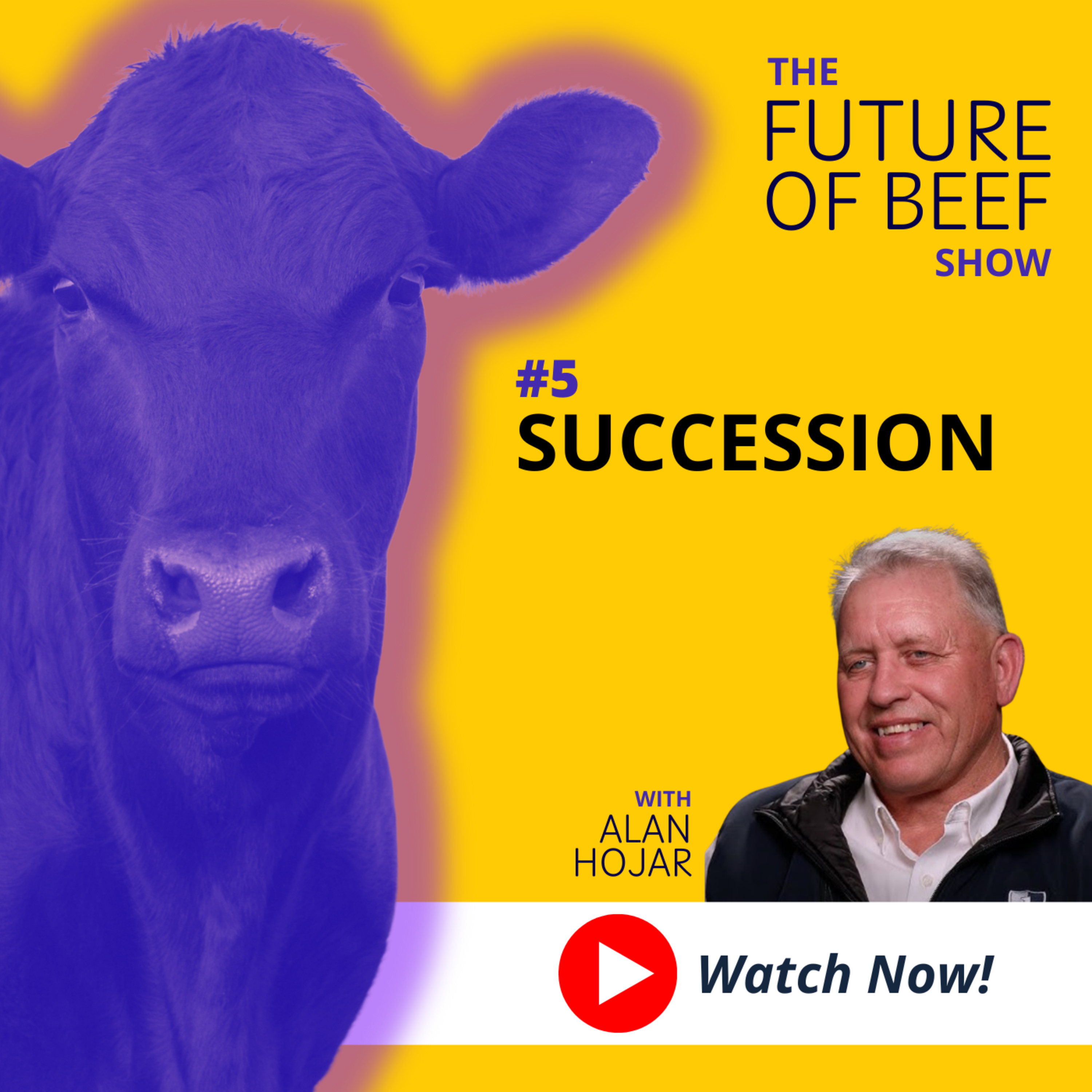 The Future of Beef