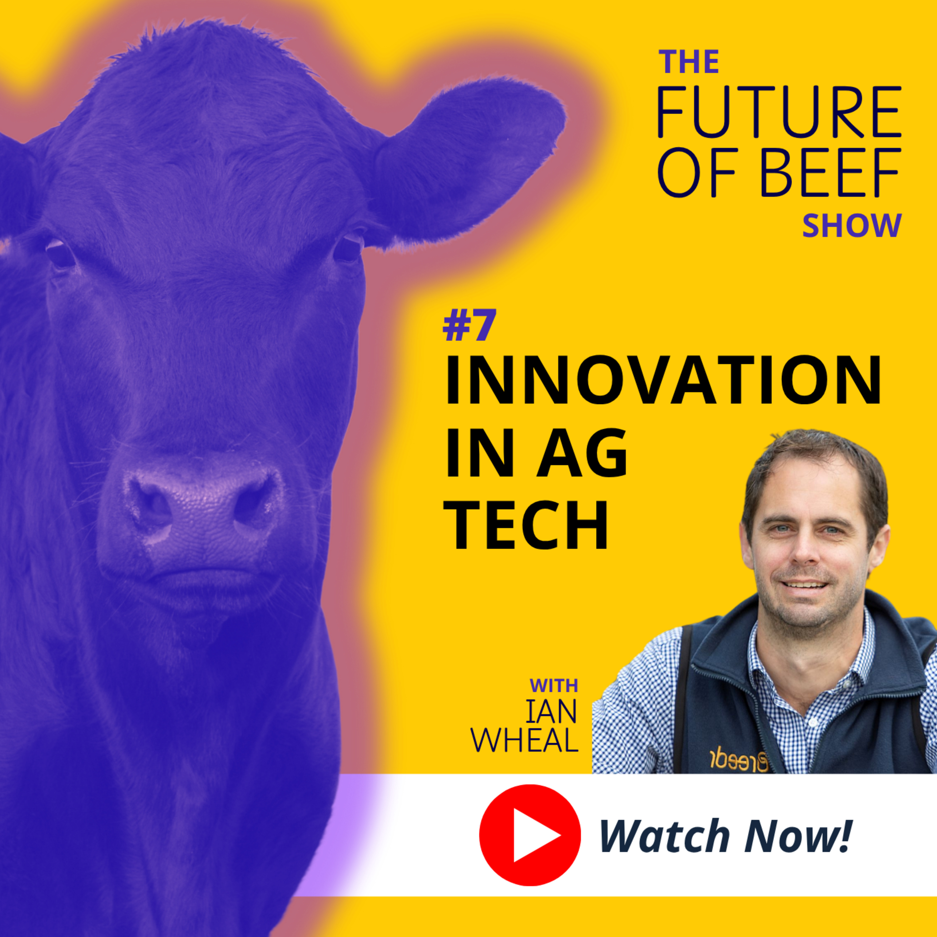 The Future of Beef