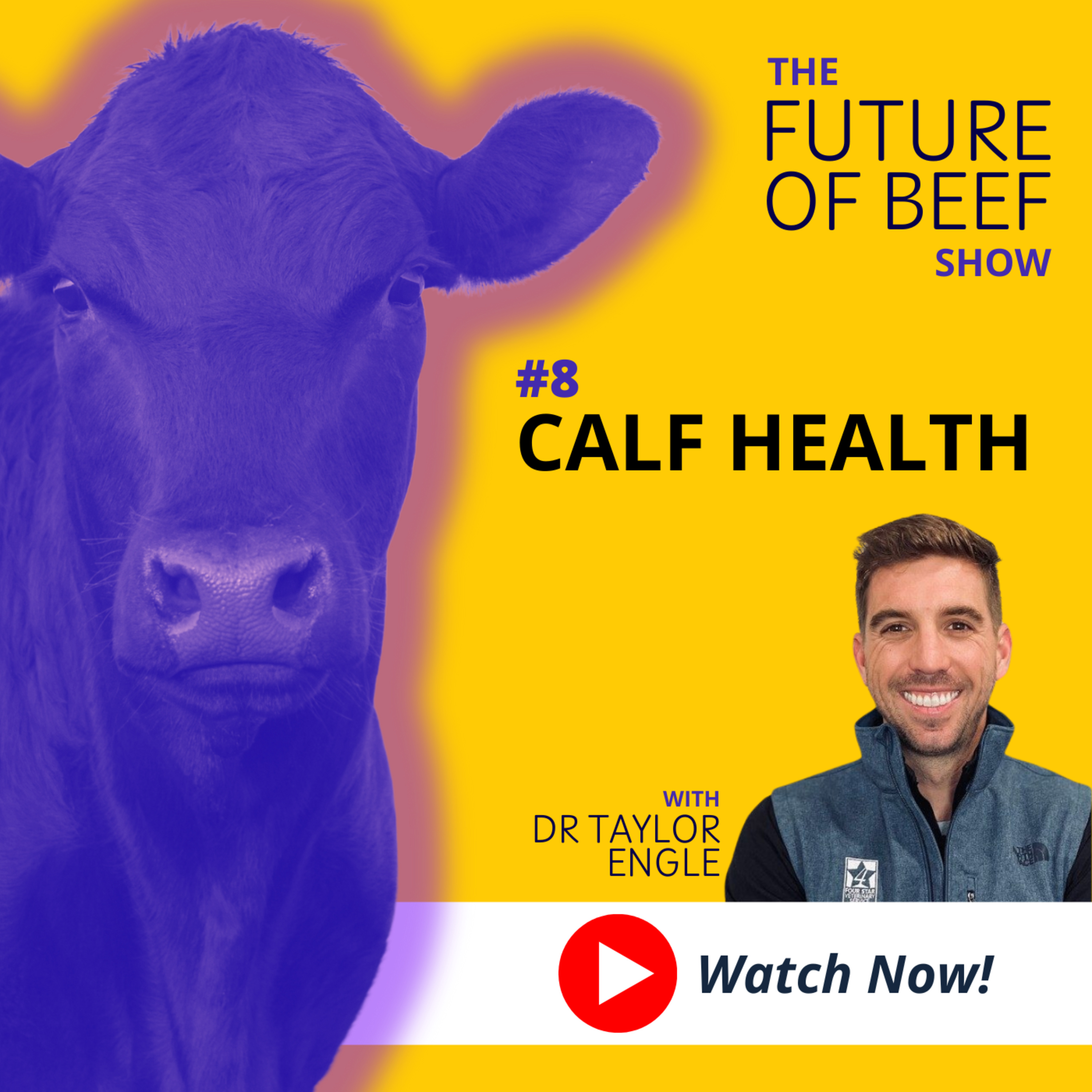 The Future of Beef