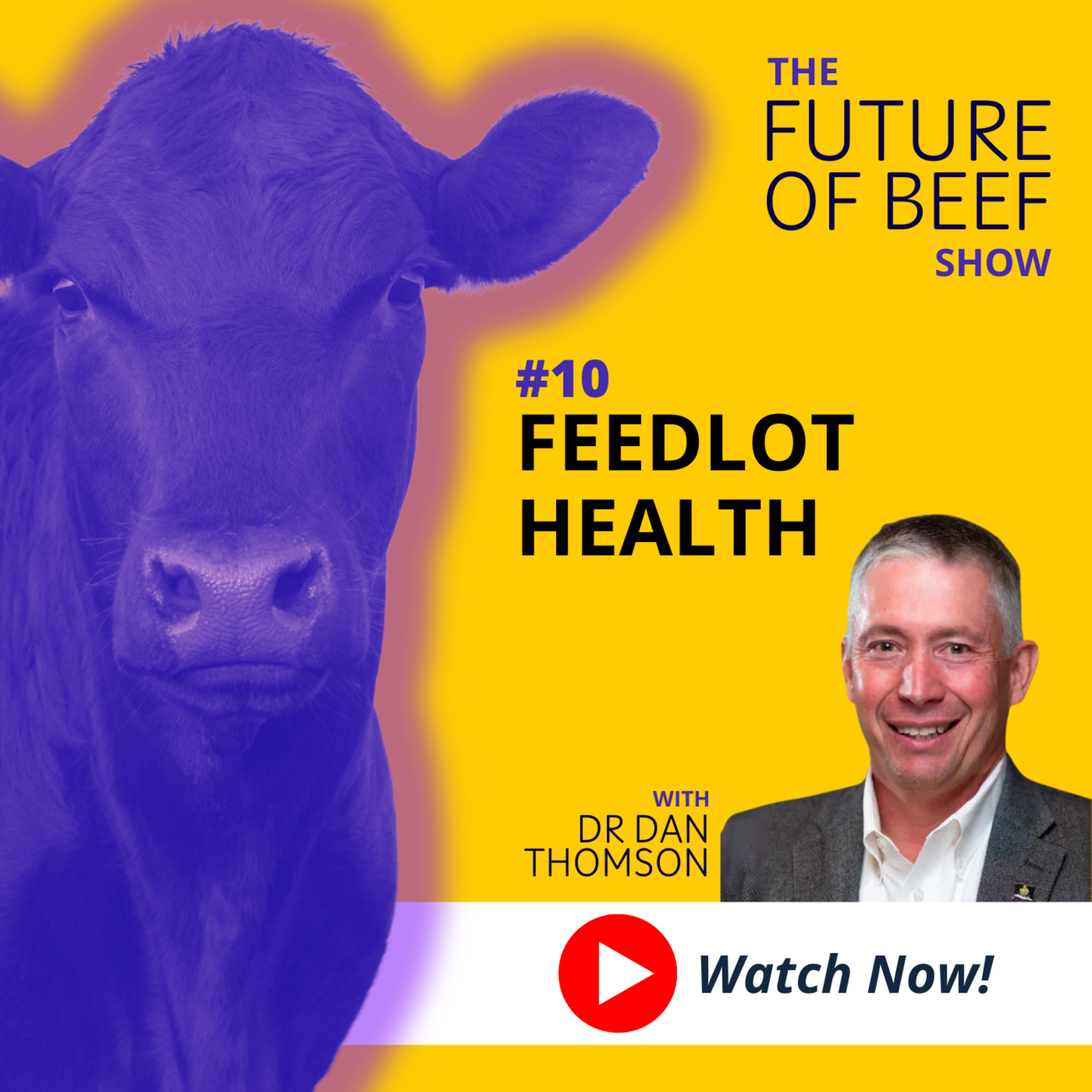 The Future of Beef Show