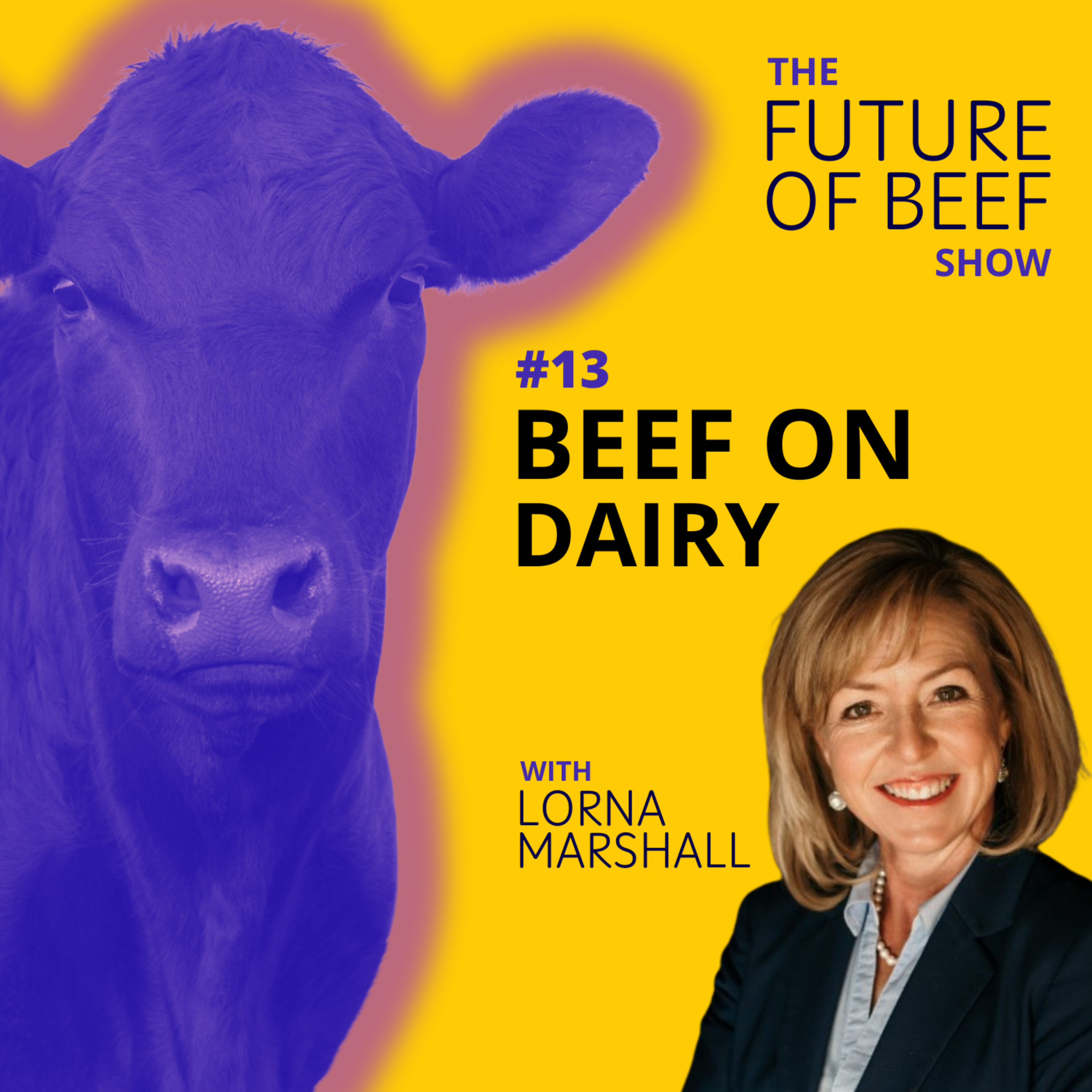 The Future of Beef Show