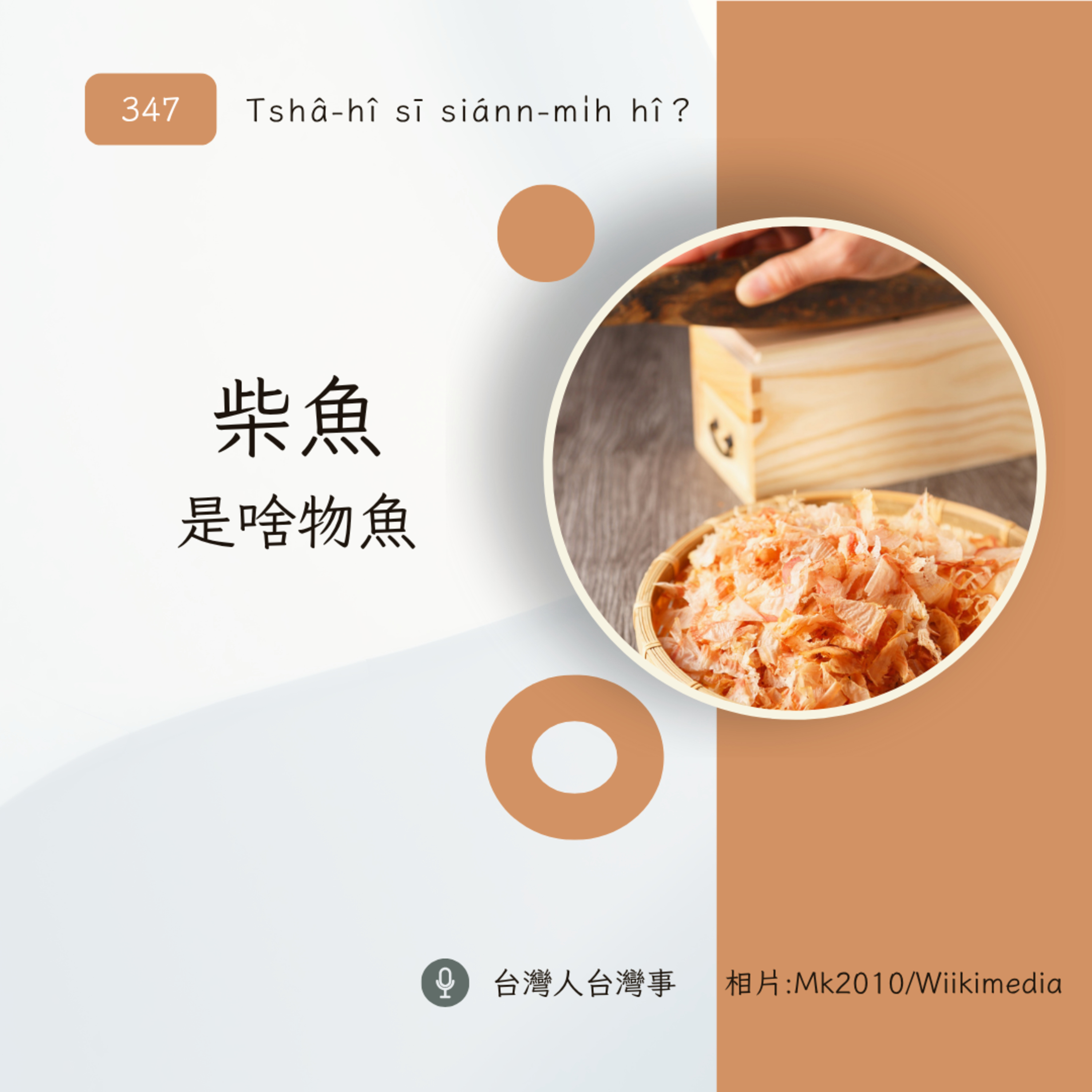 347 柴魚是啥物魚?