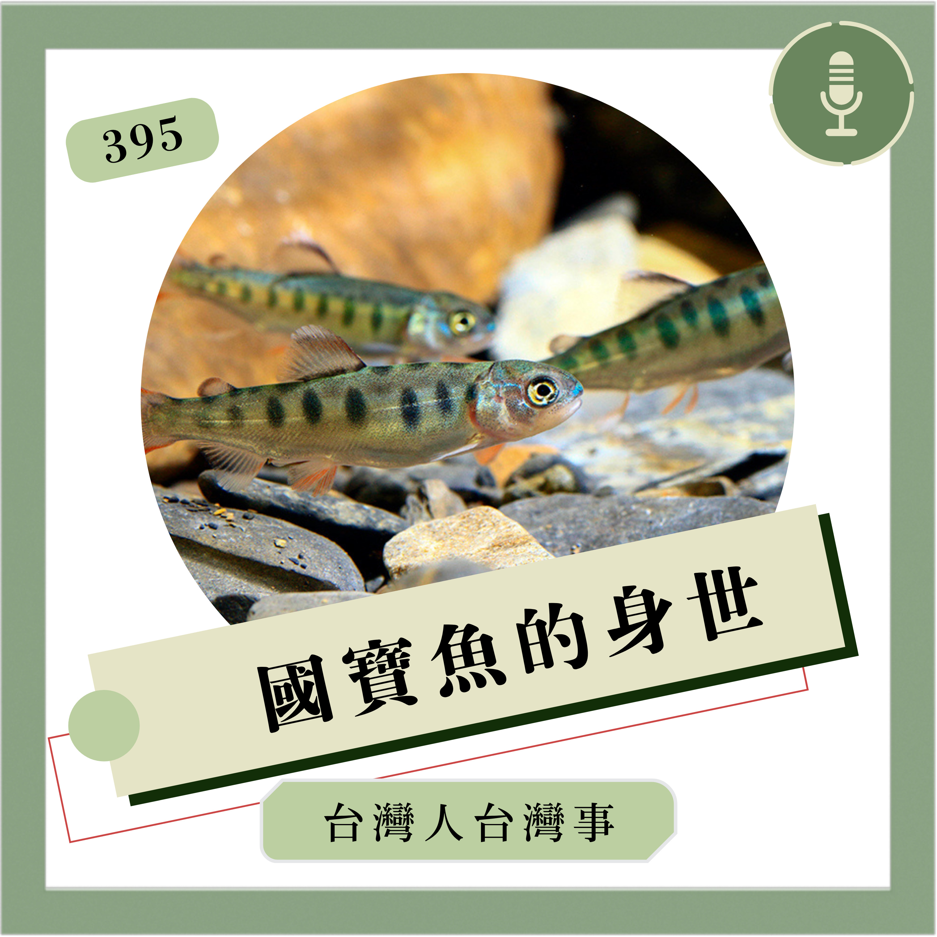 395 國寶魚的身世