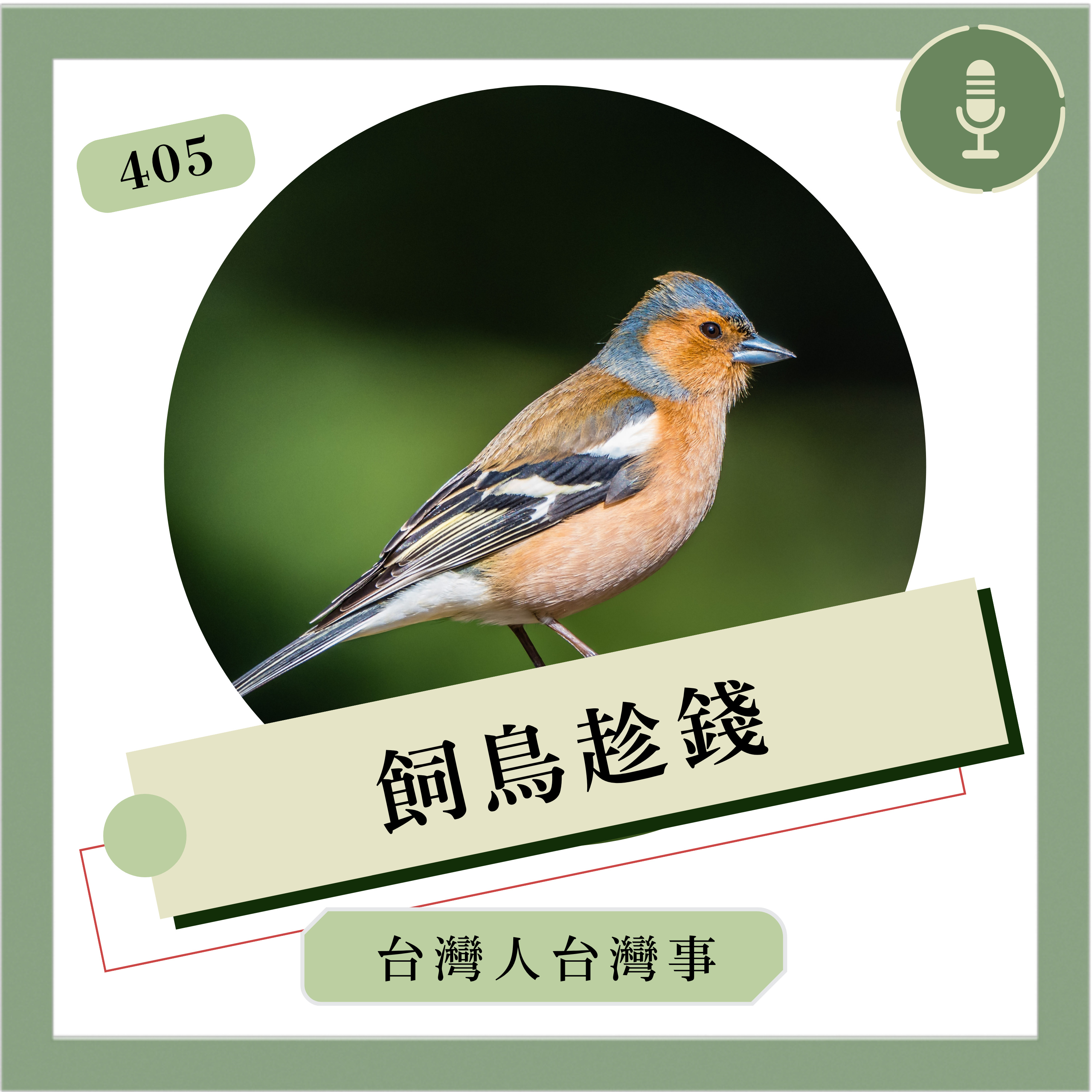 Artwork for 台灣人台灣事