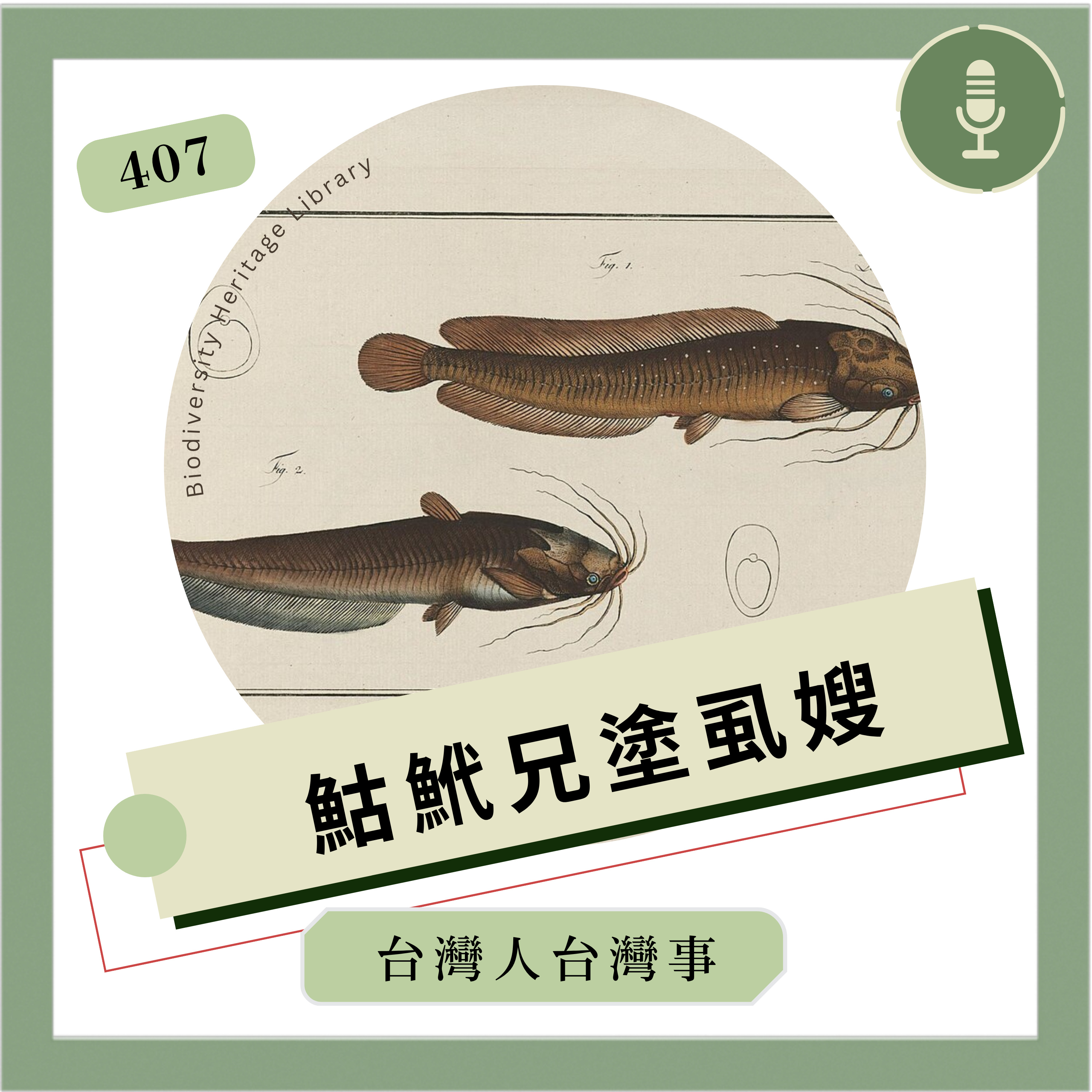 Artwork for 台灣人台灣事