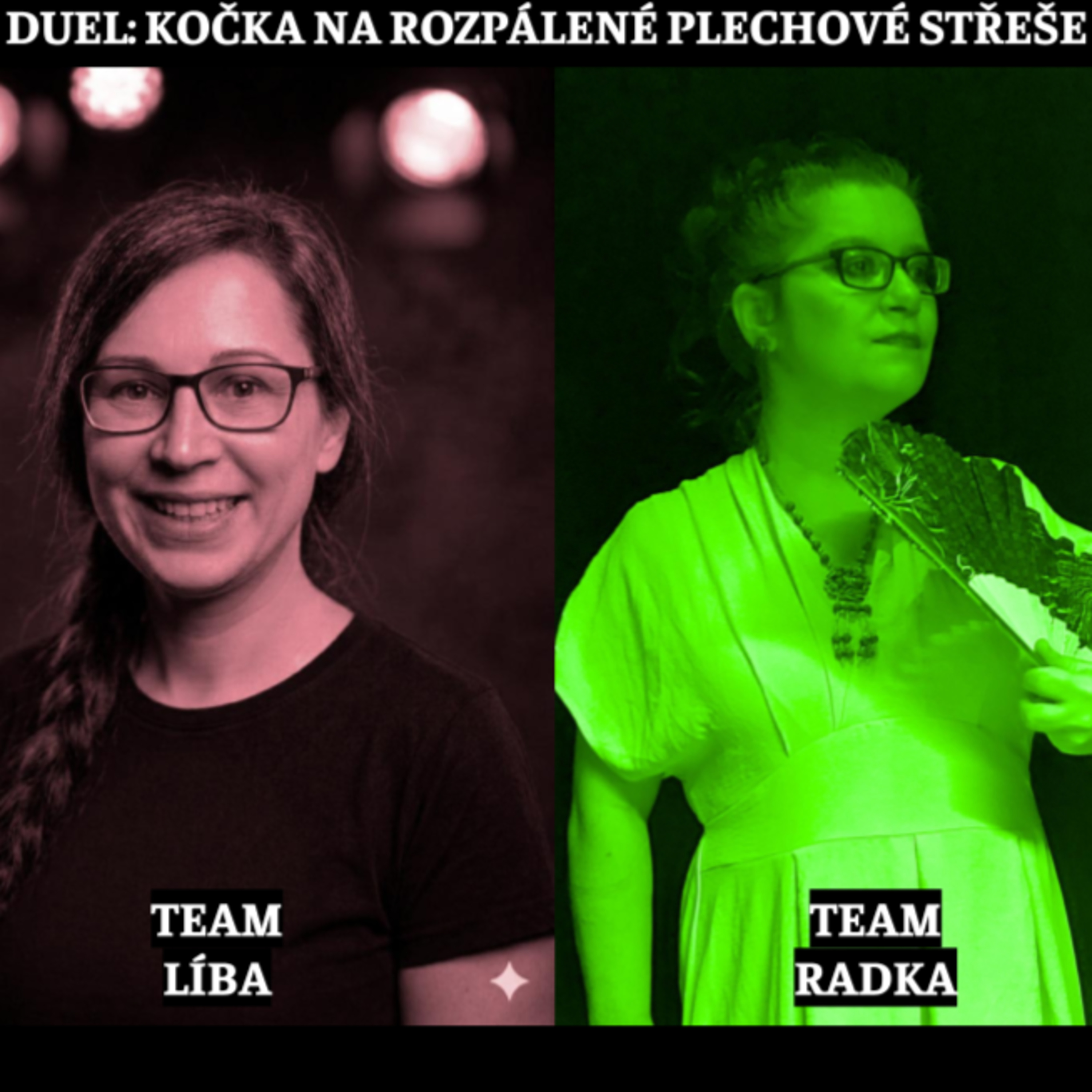 Duel: Kočka na rozpálené plechové střeše episode artwork