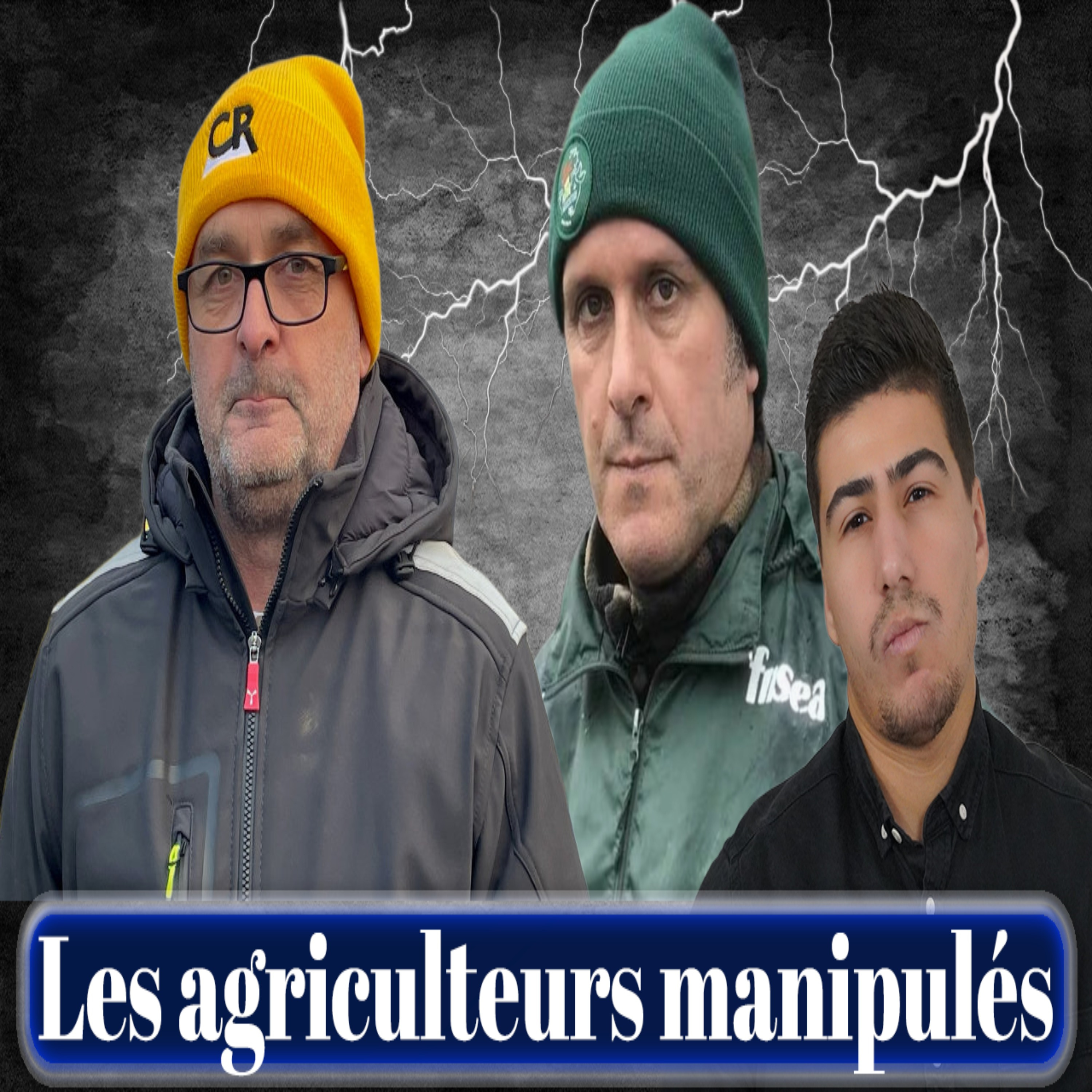 Pourquoi les politiciens utilisent-ils la colère des agriculteurs ? episode artwork