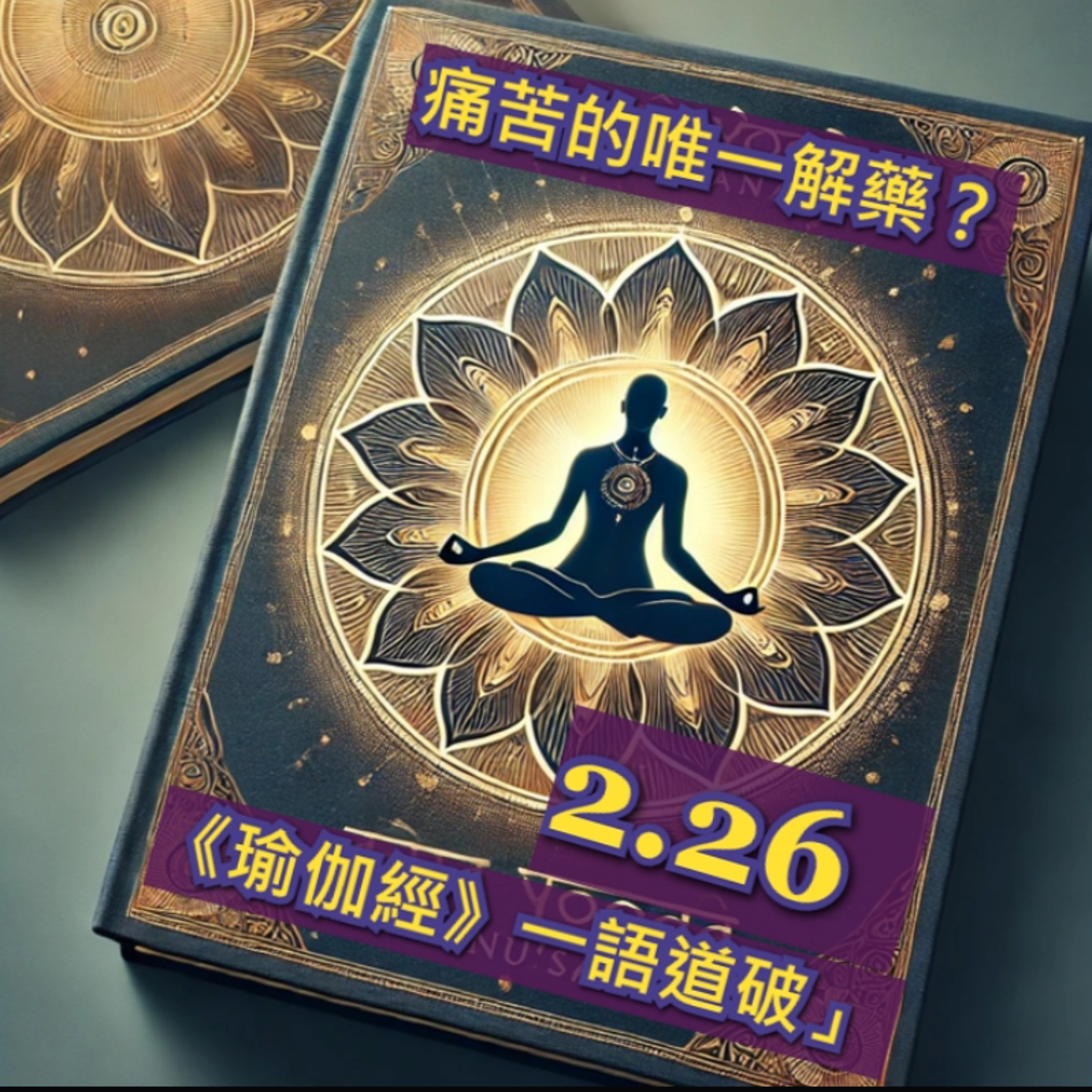 📖所有痛苦的唯一解藥？《重返瑜伽經》2.26 一語道破｜Dada說瑜伽 episode artwork