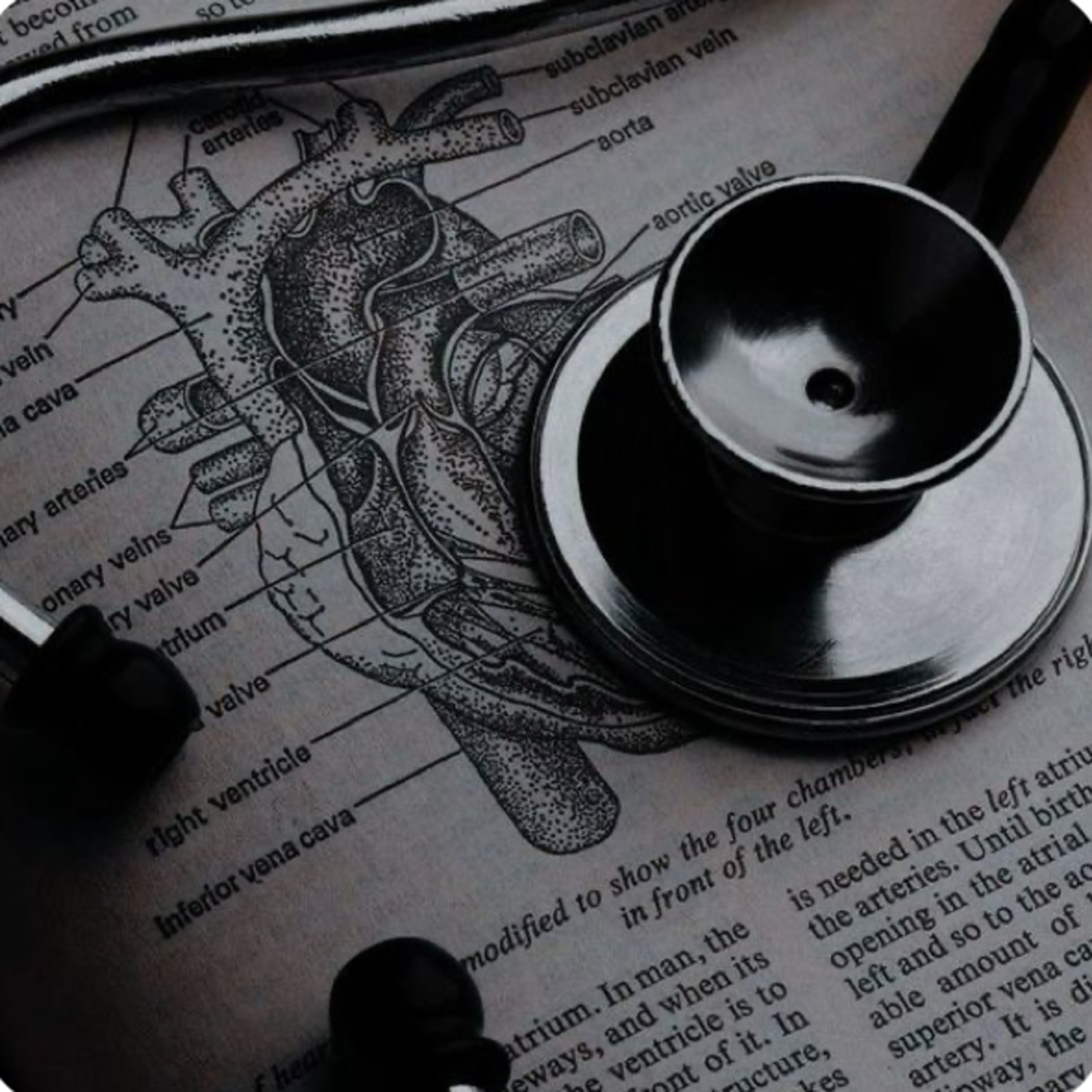 The Nurse’s Lament – When Caring Becomes a Crime episode artwork