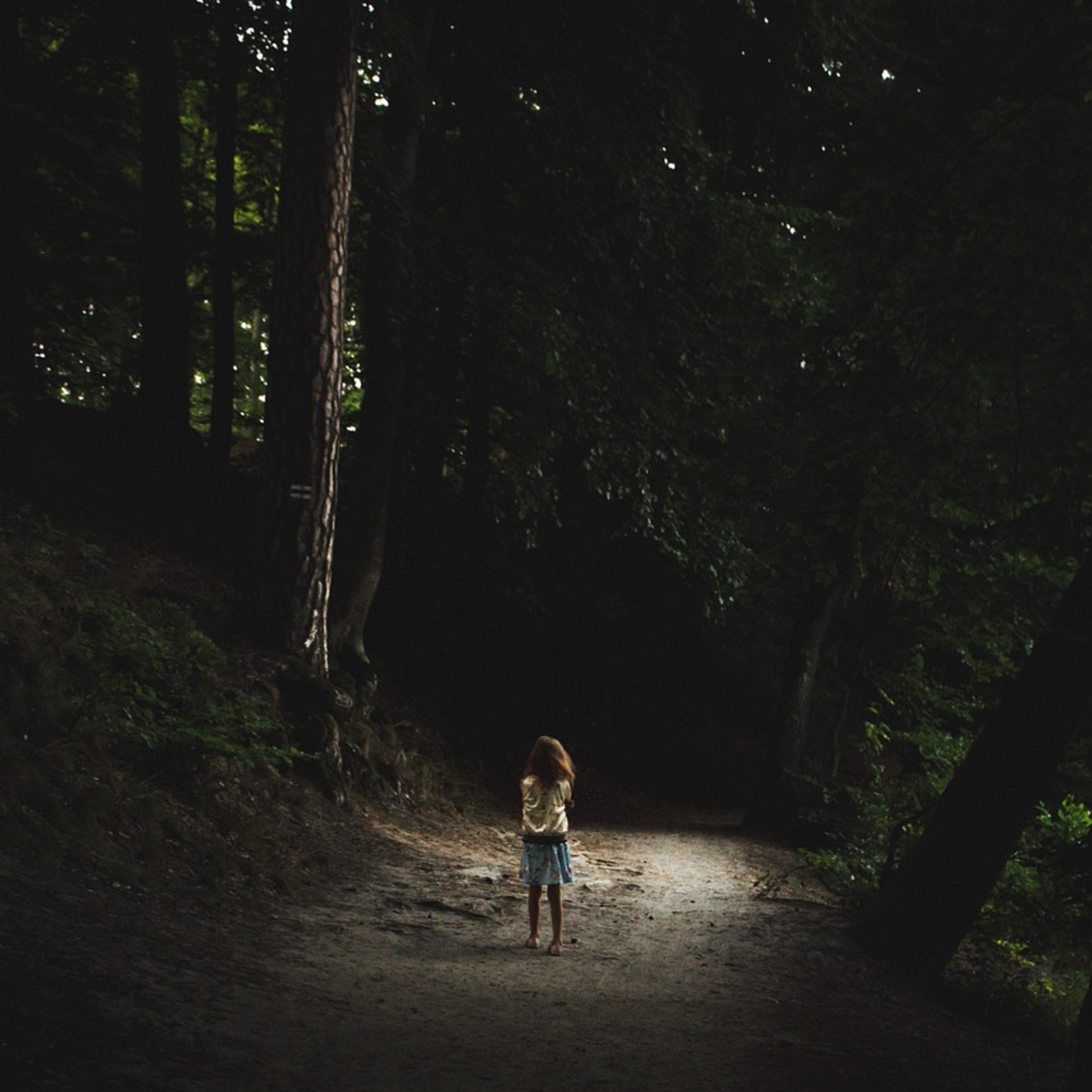 When Silence Speaks: Therapy, Childhood Trauma, and the Quest for Empathy episode artwork