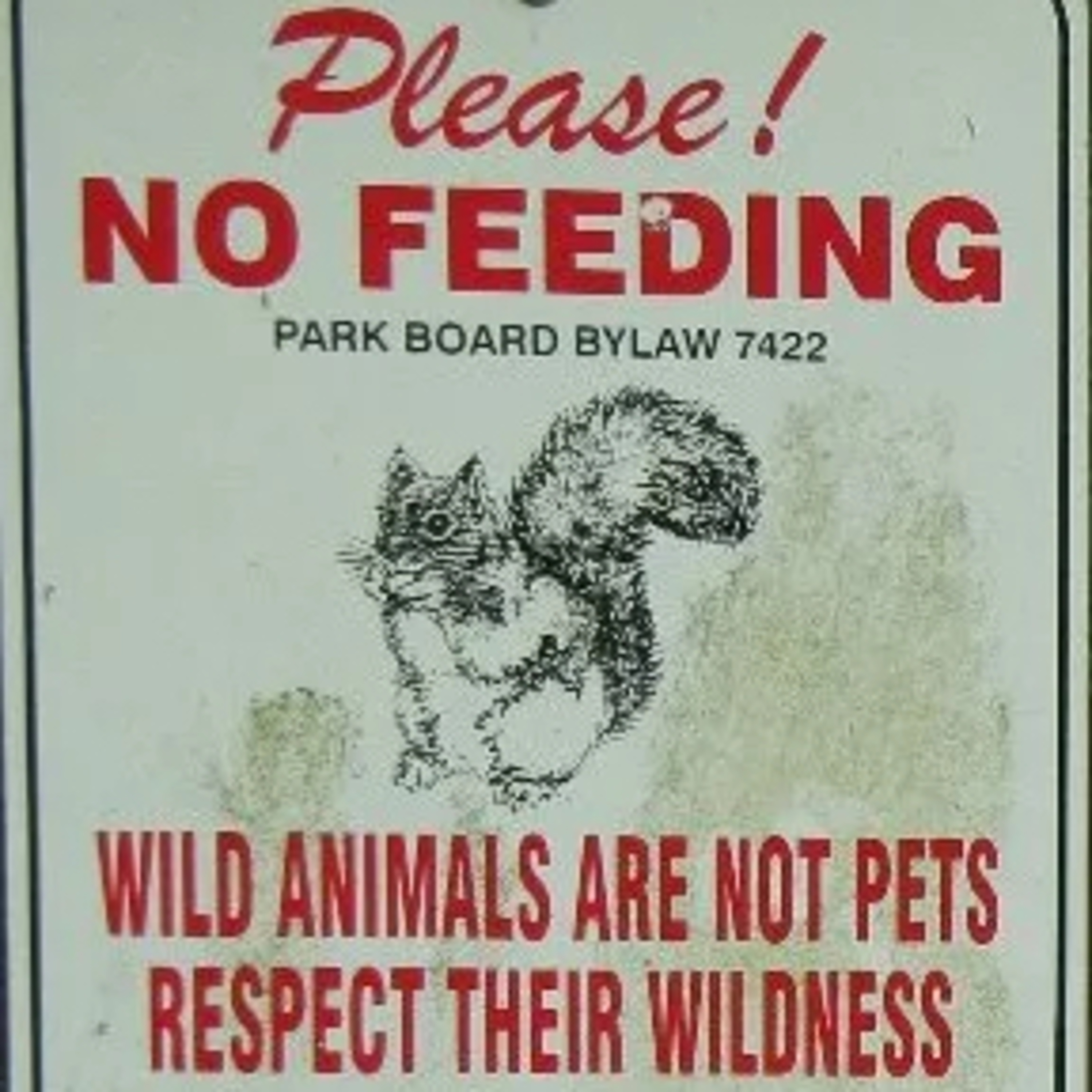 Don’t Feed the Animals: Spoken Word Poetry on Survival and Spectatorship episode artwork
