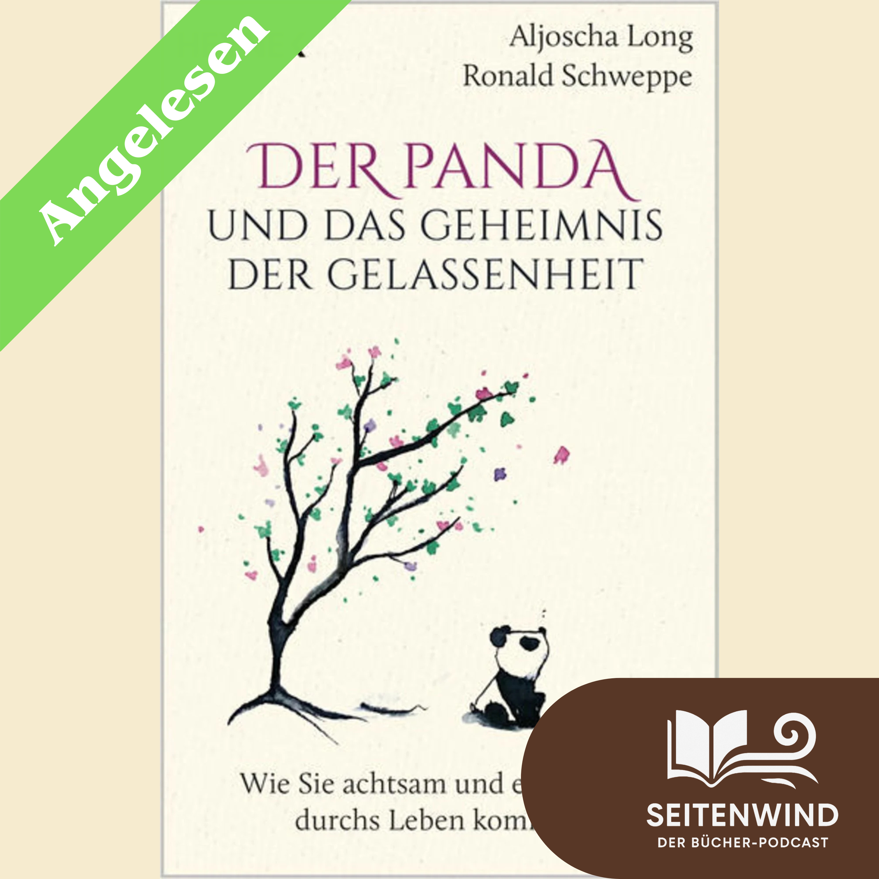 Seitenwind - Der Bücher-Podcast