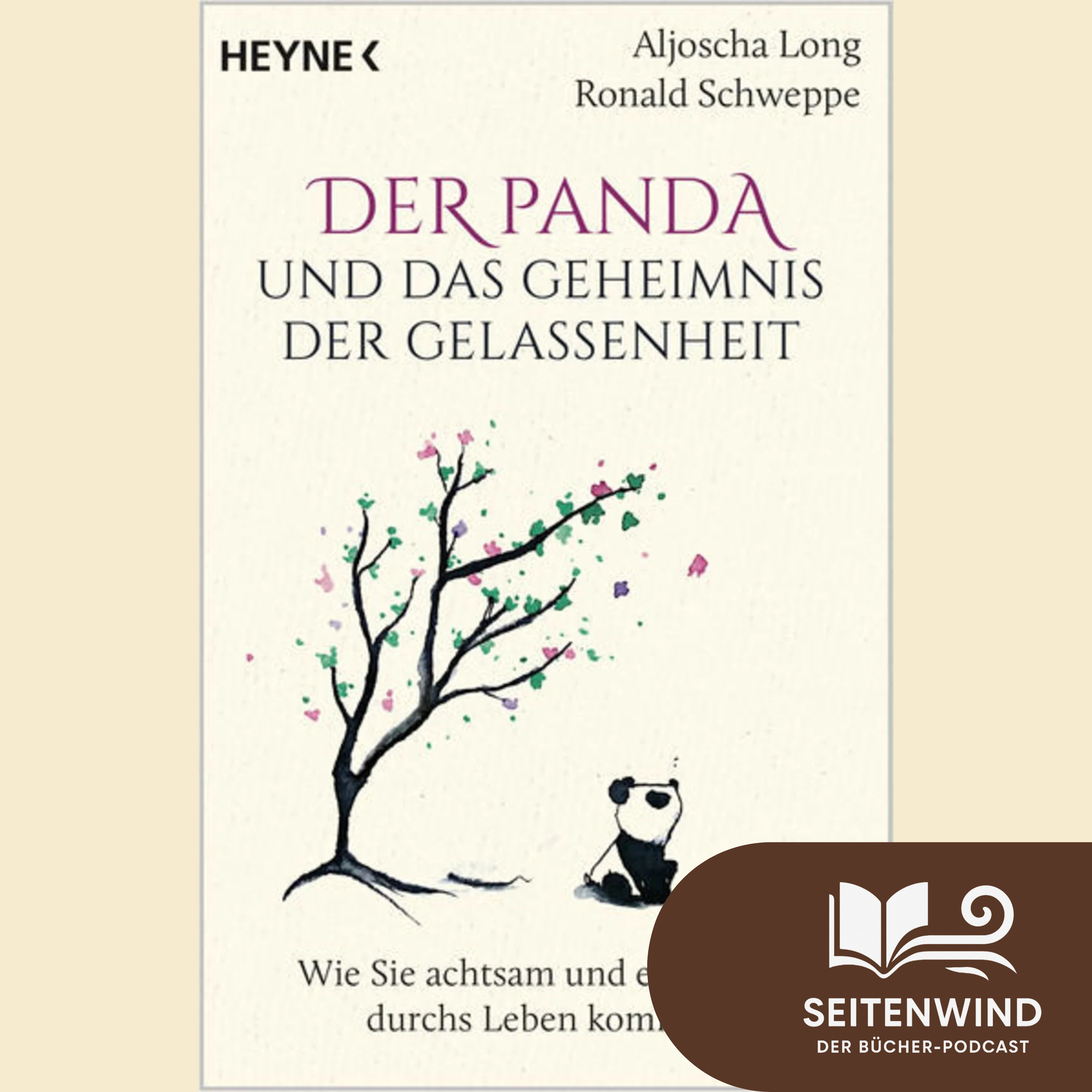 Seitenwind - Der Bücher-Podcast
