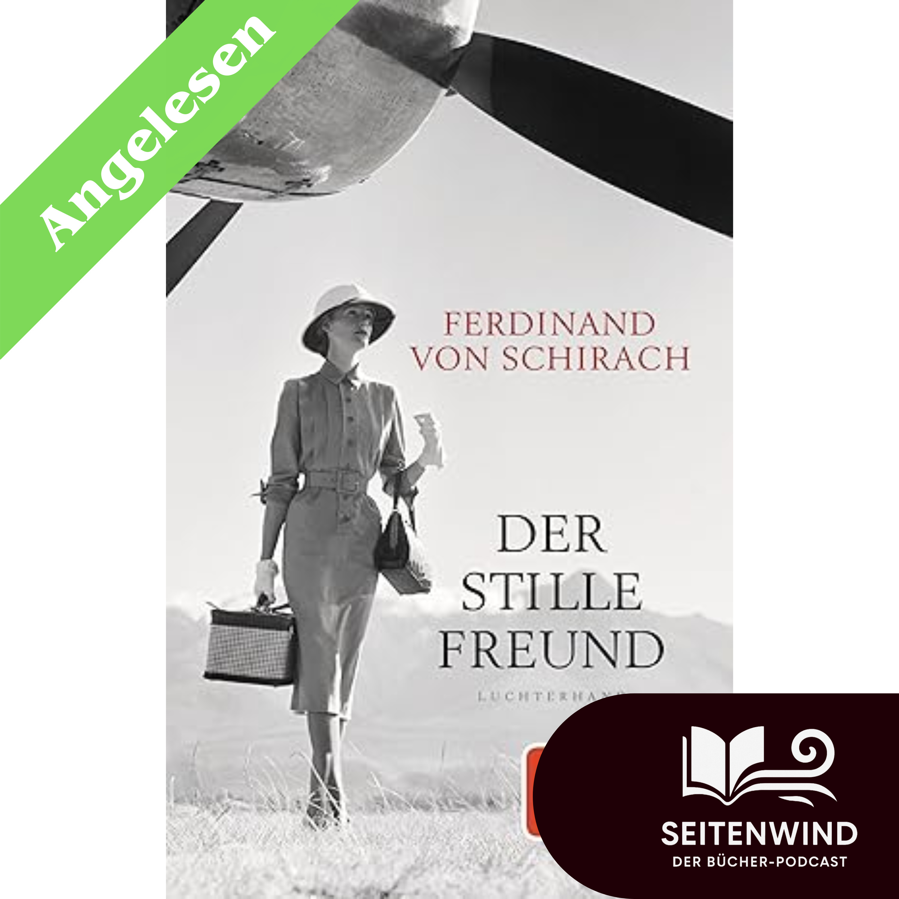 Angelesen: Der stille Freund (Ferdinand von Schirach)  episode artwork