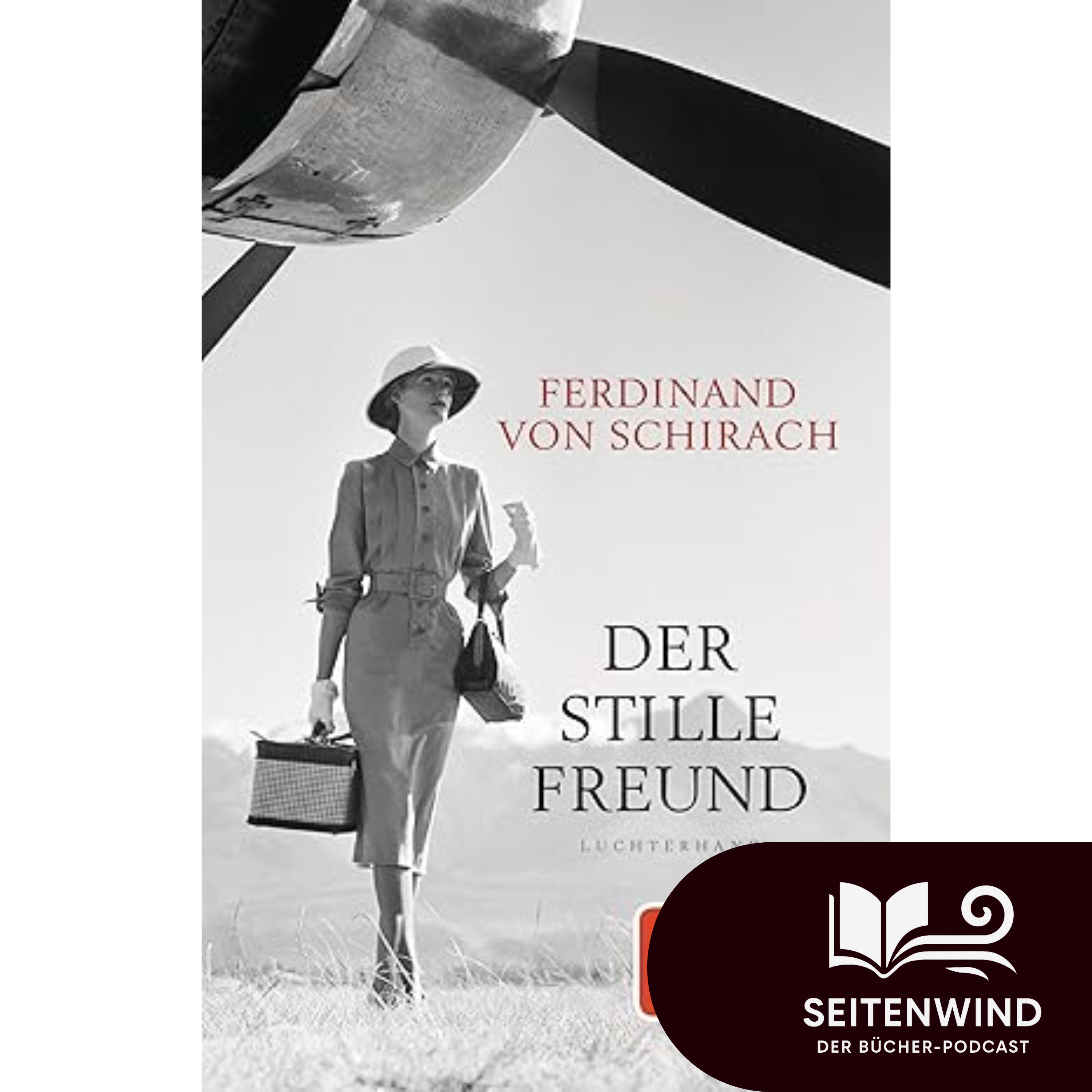 13 Der stille Freund (Ferdinand von Schirach) episode artwork