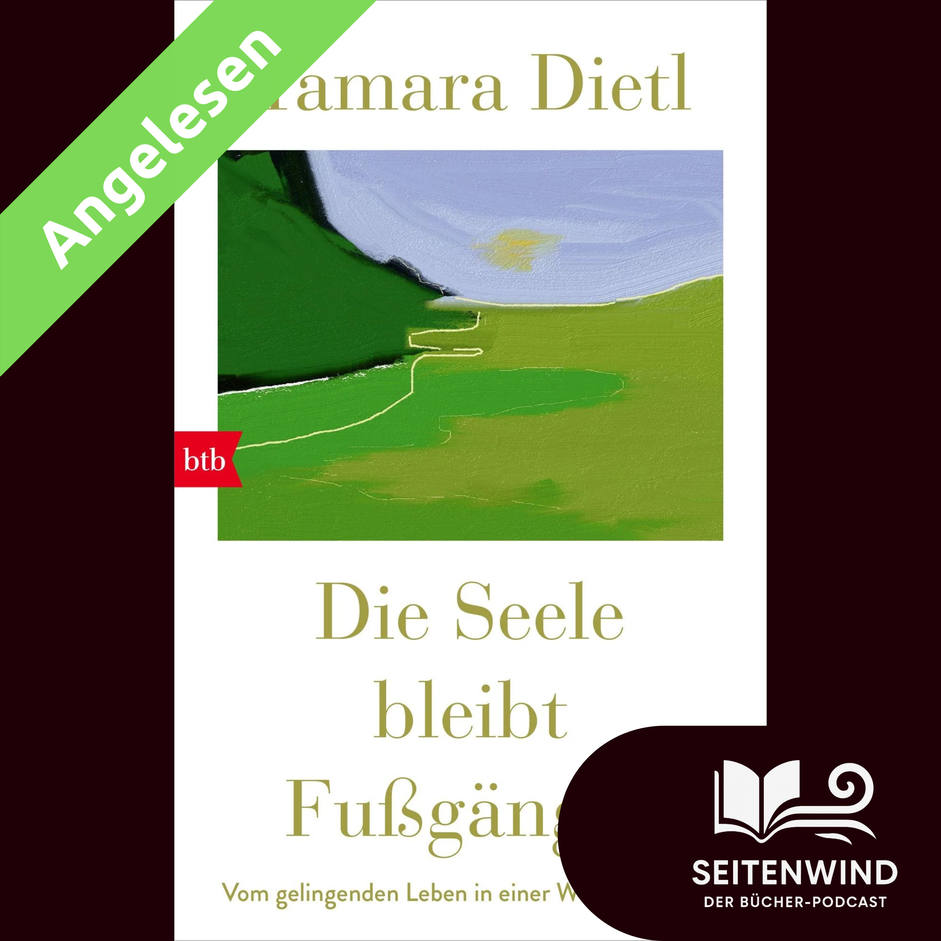 Angelesen: Die Seele bleibt Fußgänger - Vom gelingenden Leben in einer Welt im Wandel (Tamara Dietl) episode artwork