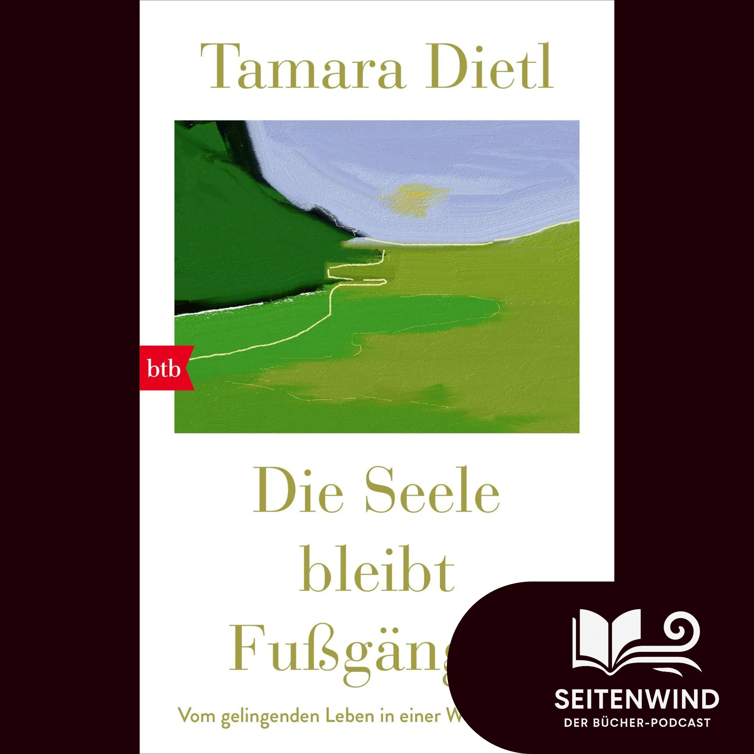 16 Die Seele bleibt Fußgänger - Vom gelingenden Leben in einer Welt im Wandel (Tamara Dietl) episode artwork