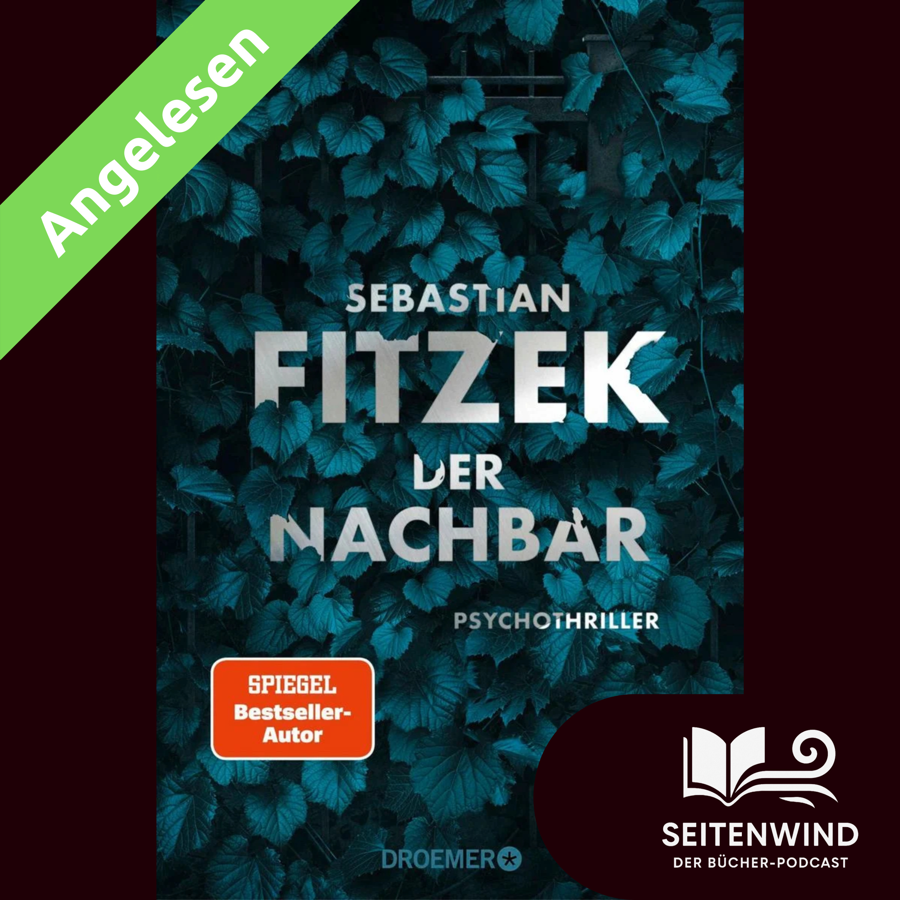 Seitenwind - Der Bücher-Podcast