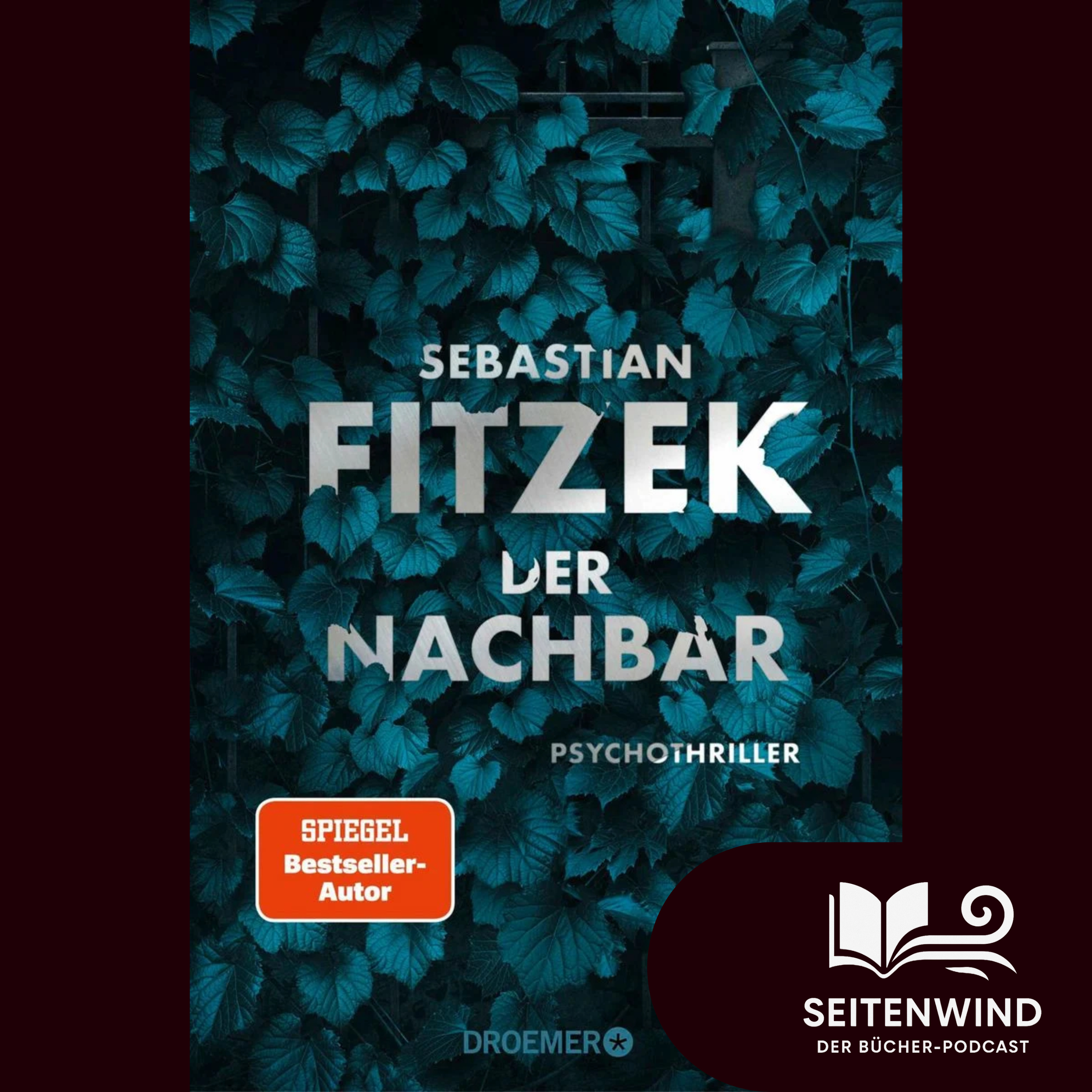 Seitenwind - Der Bücher-Podcast