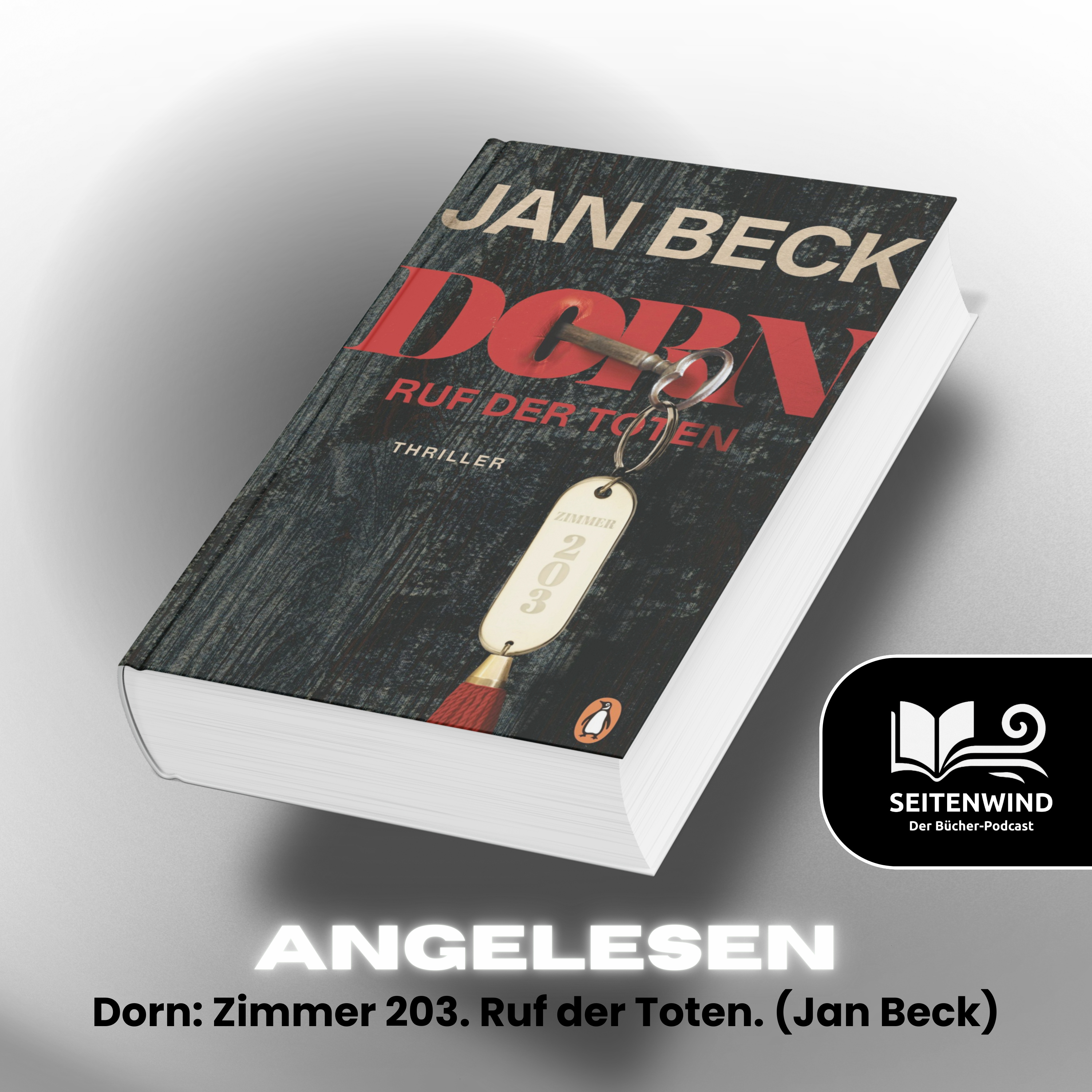 Seitenwind - Der Bücher-Podcast