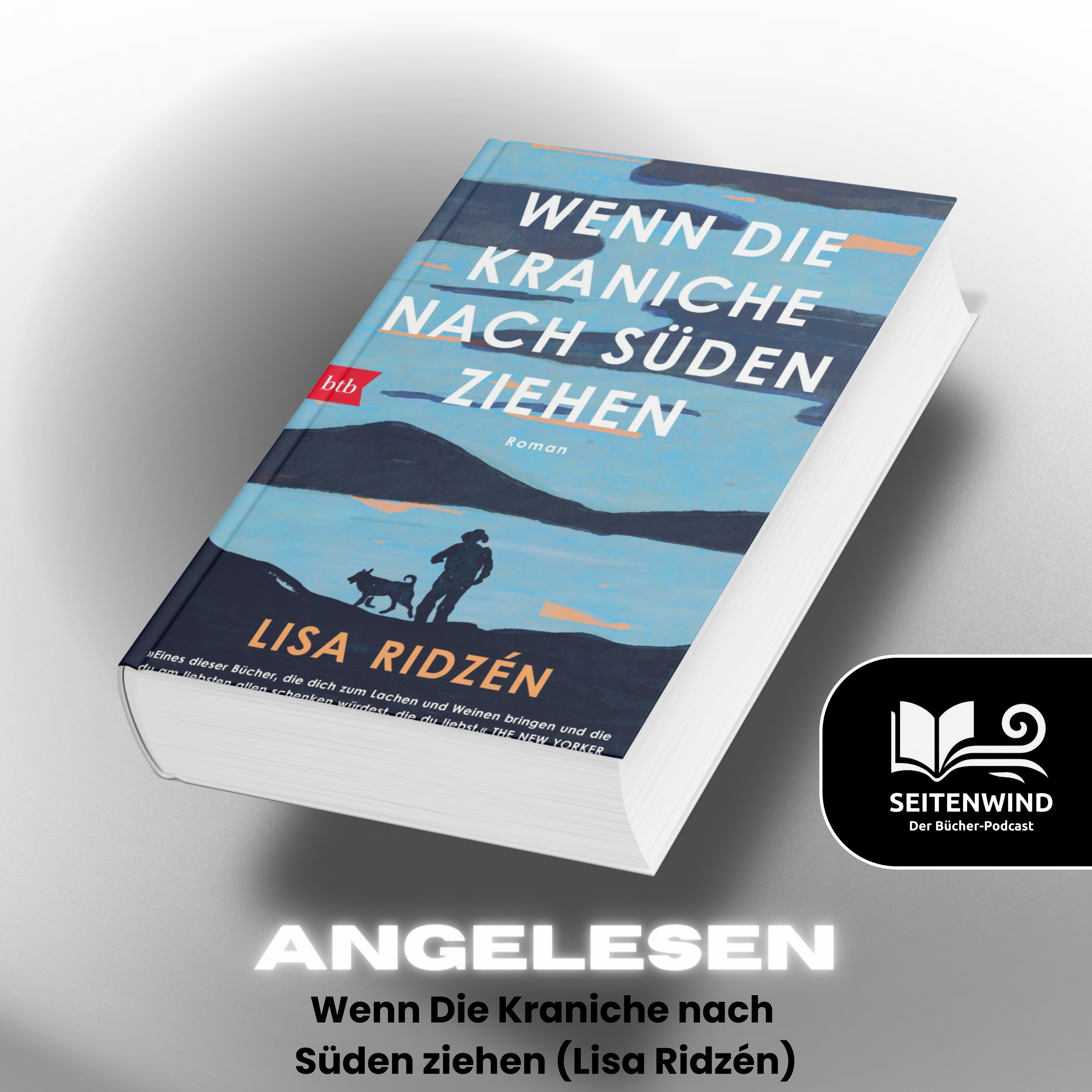 Angelesen: Wenn die Kraniche nach Süden ziehen (Lisa Ridzén) episode artwork