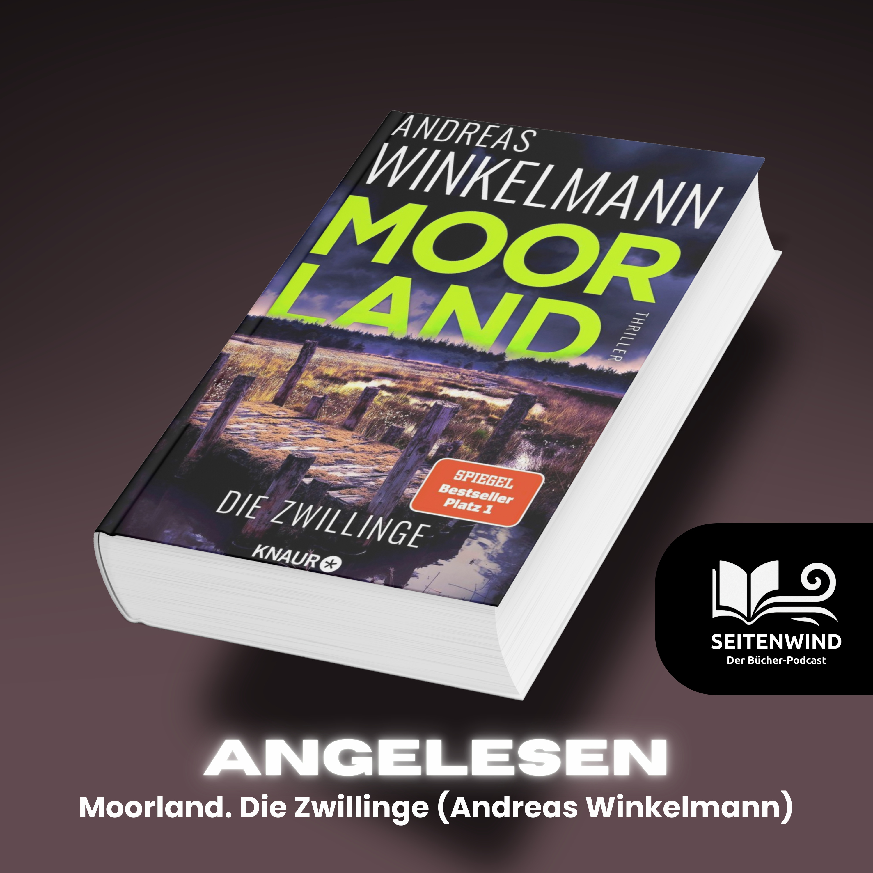 Angelesen: Moorland. Die Zwillinge (Andreas Winkelmann) episode artwork