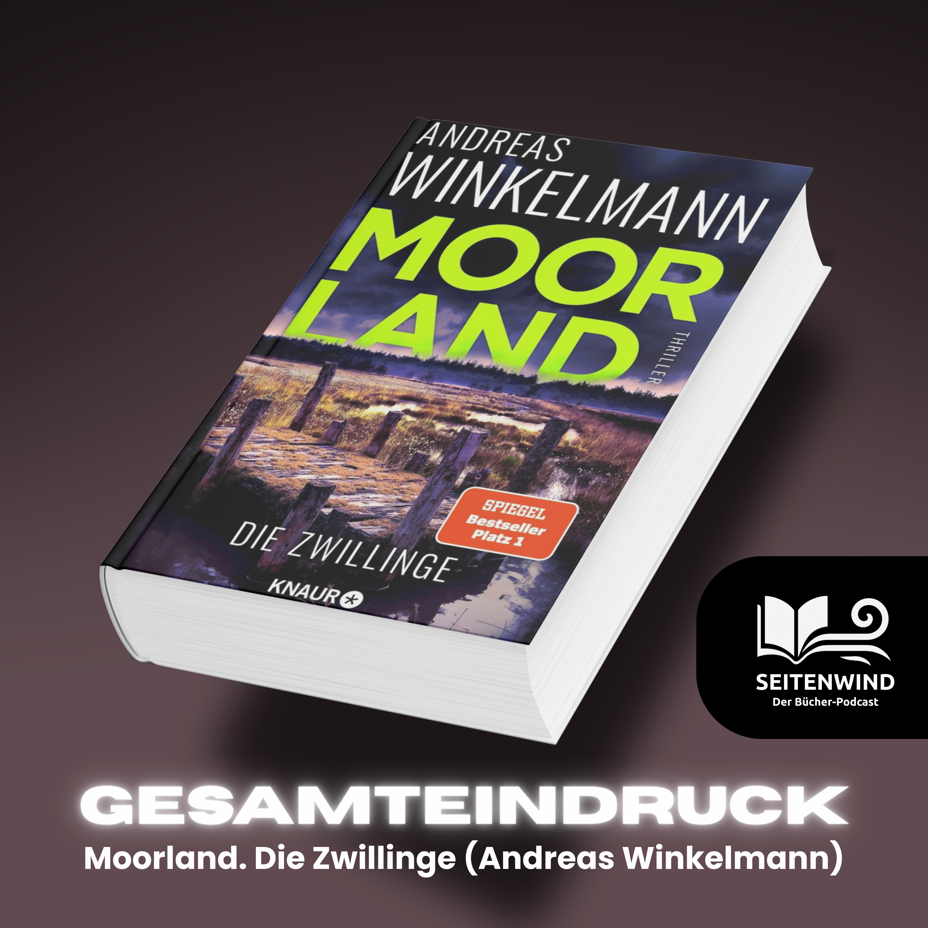 32 Moorland. Die Zwillinge (Andreas Winkelmann) episode artwork