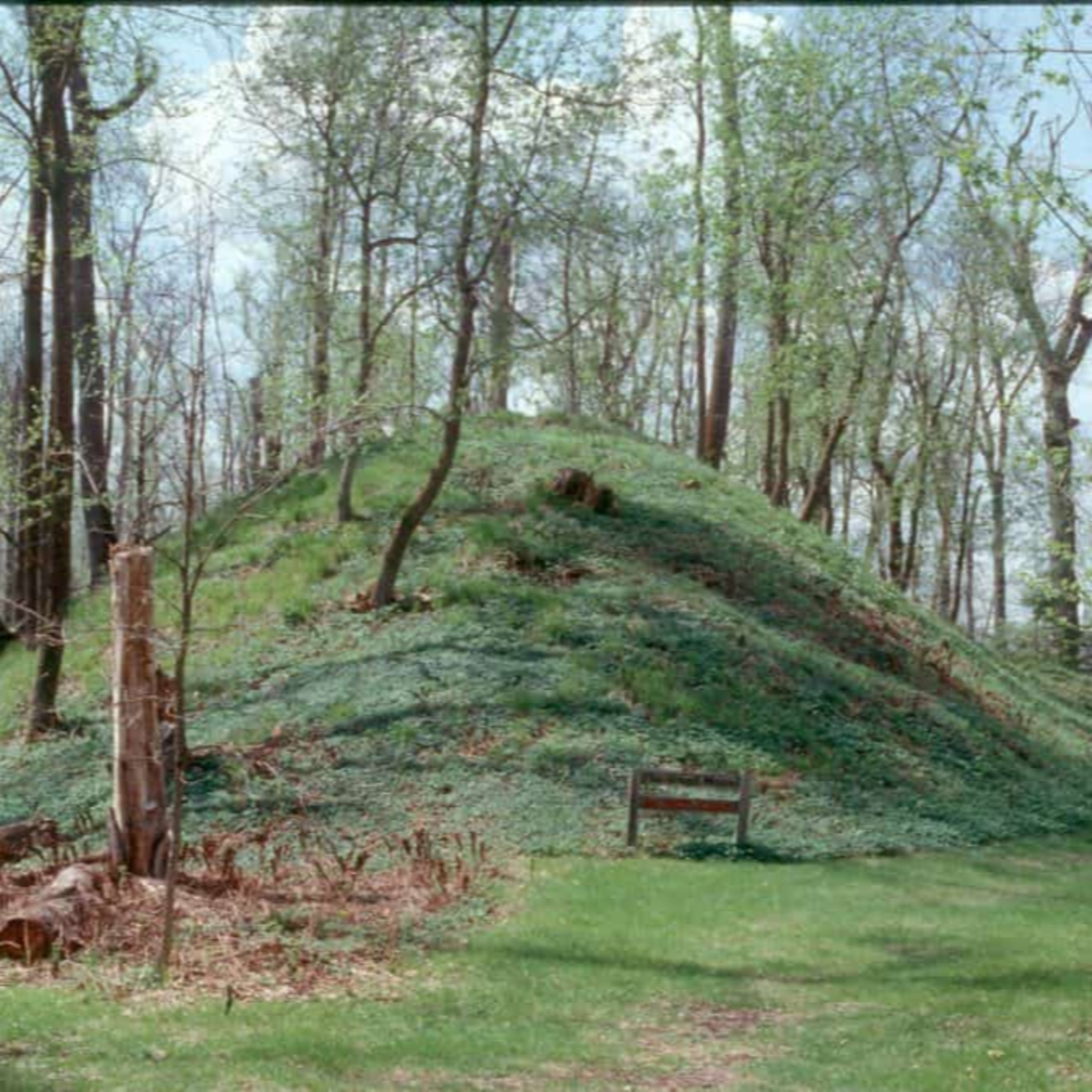 Mounds, Mounds And More Mounds! EP21 episode artwork