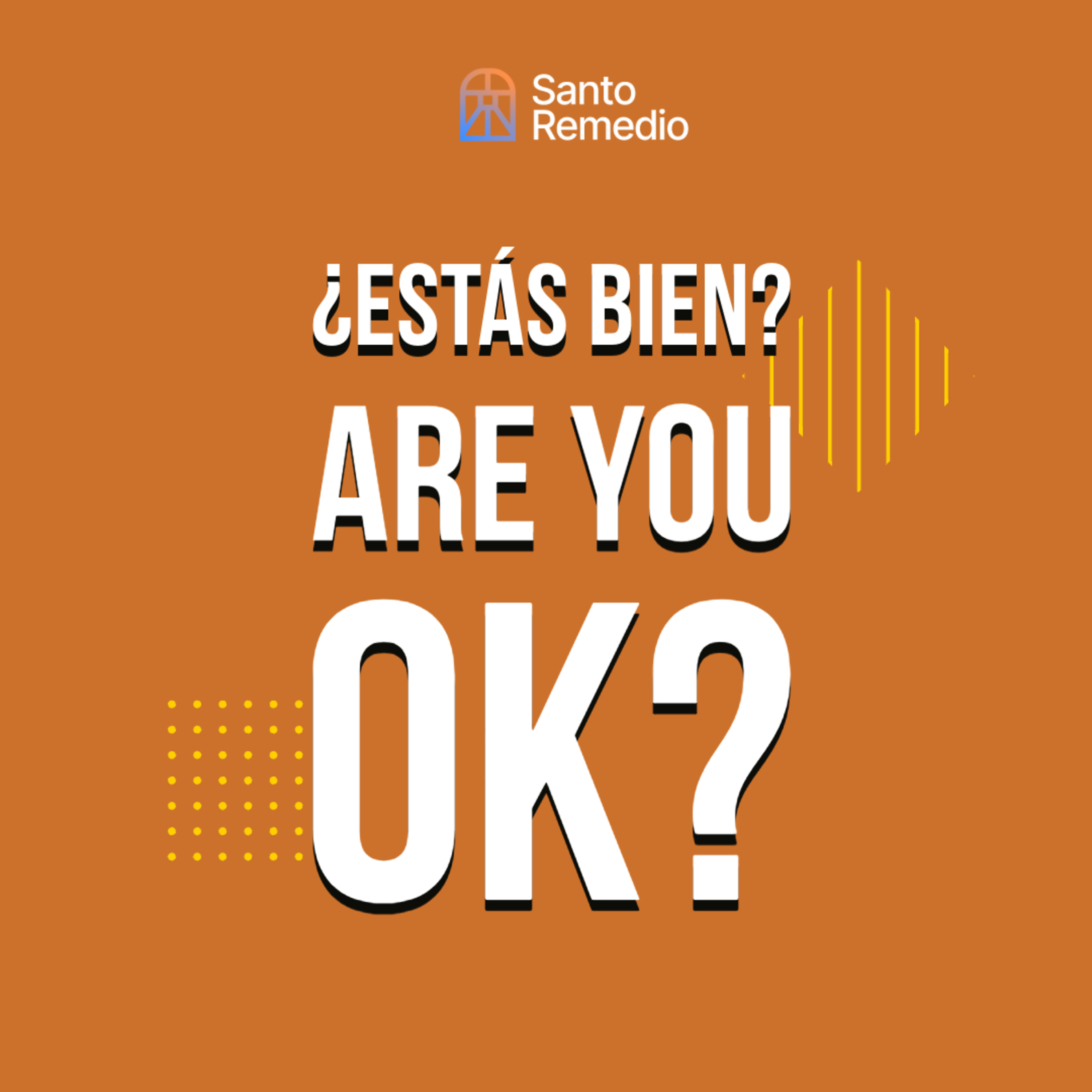 Portada de Santo Remedio